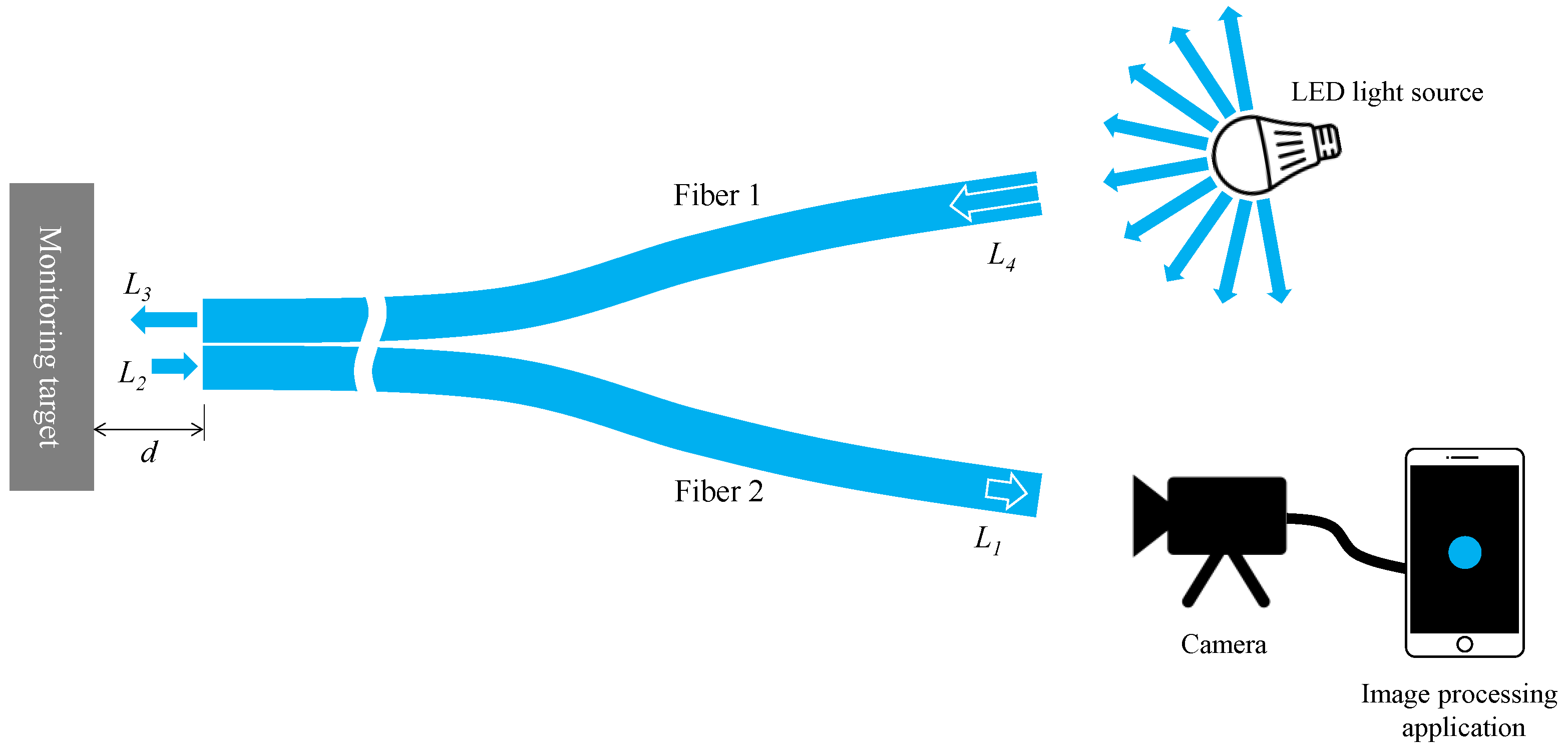 Sensors 24 00885 g008