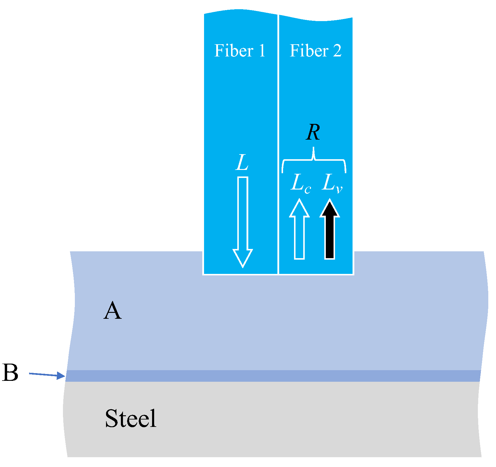 Sensors 24 00885 g012
