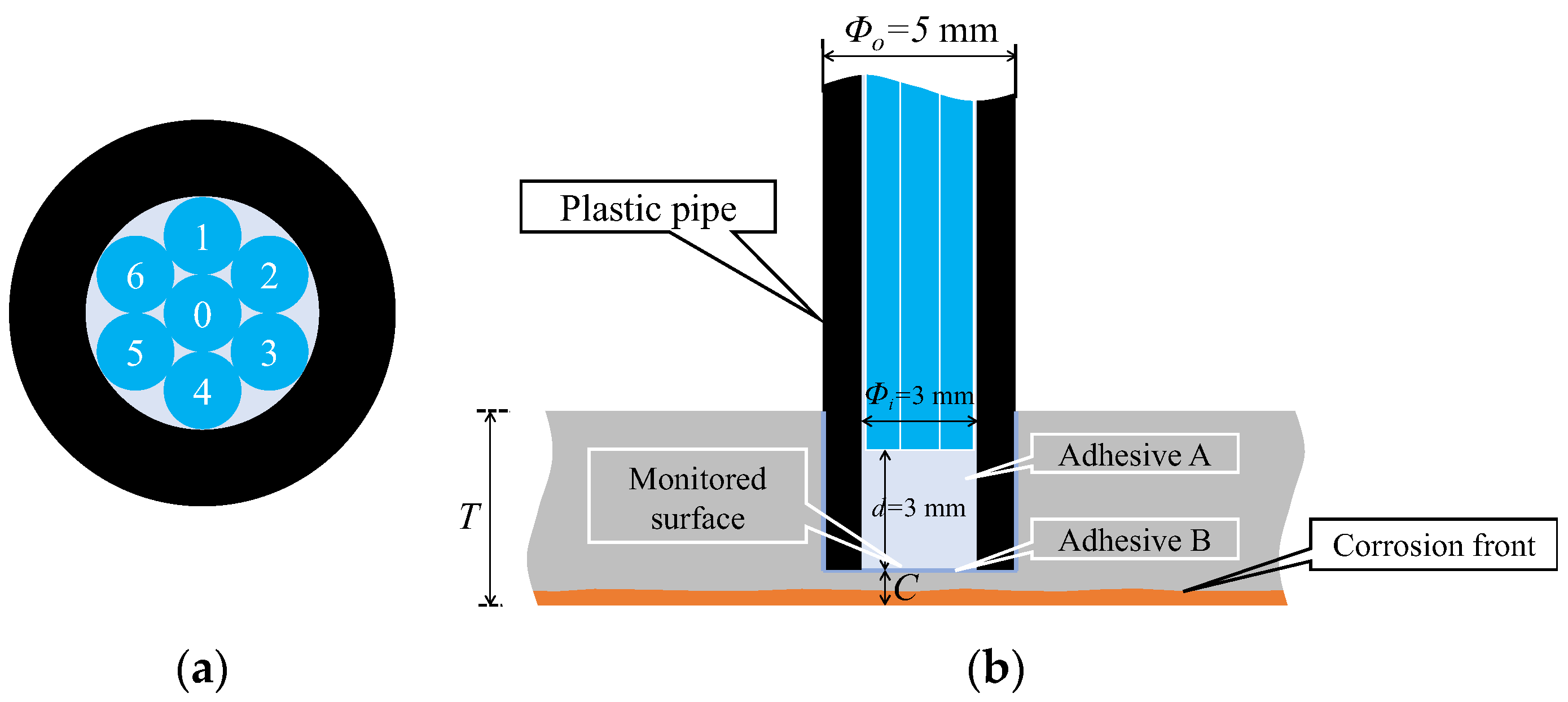Sensors 24 00885 g015