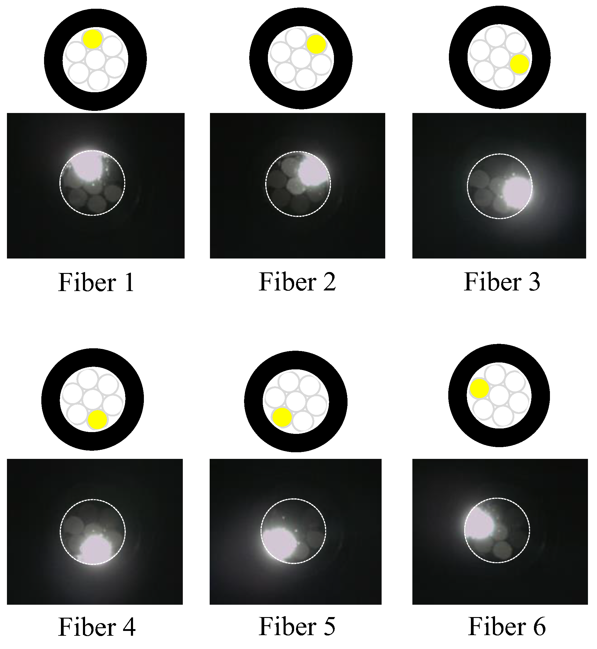 Sensors 24 00885 g017
