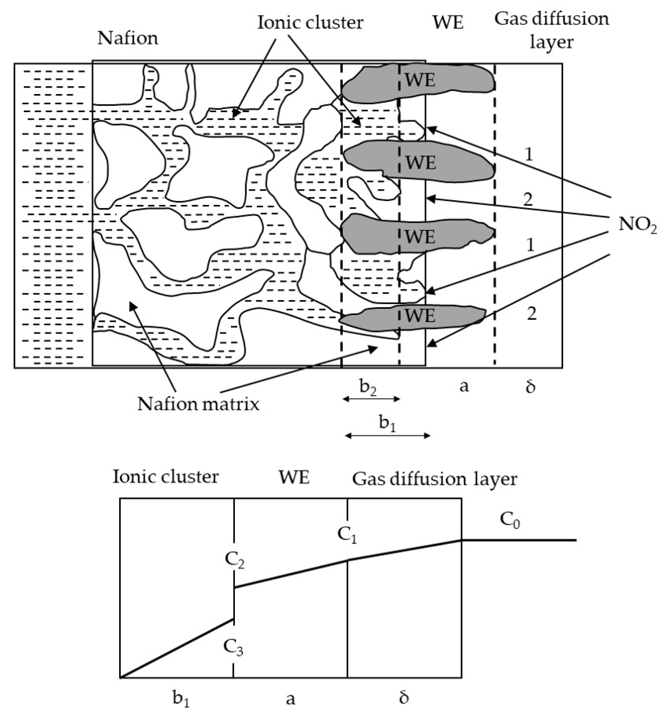 Sensors 24 00900 g003