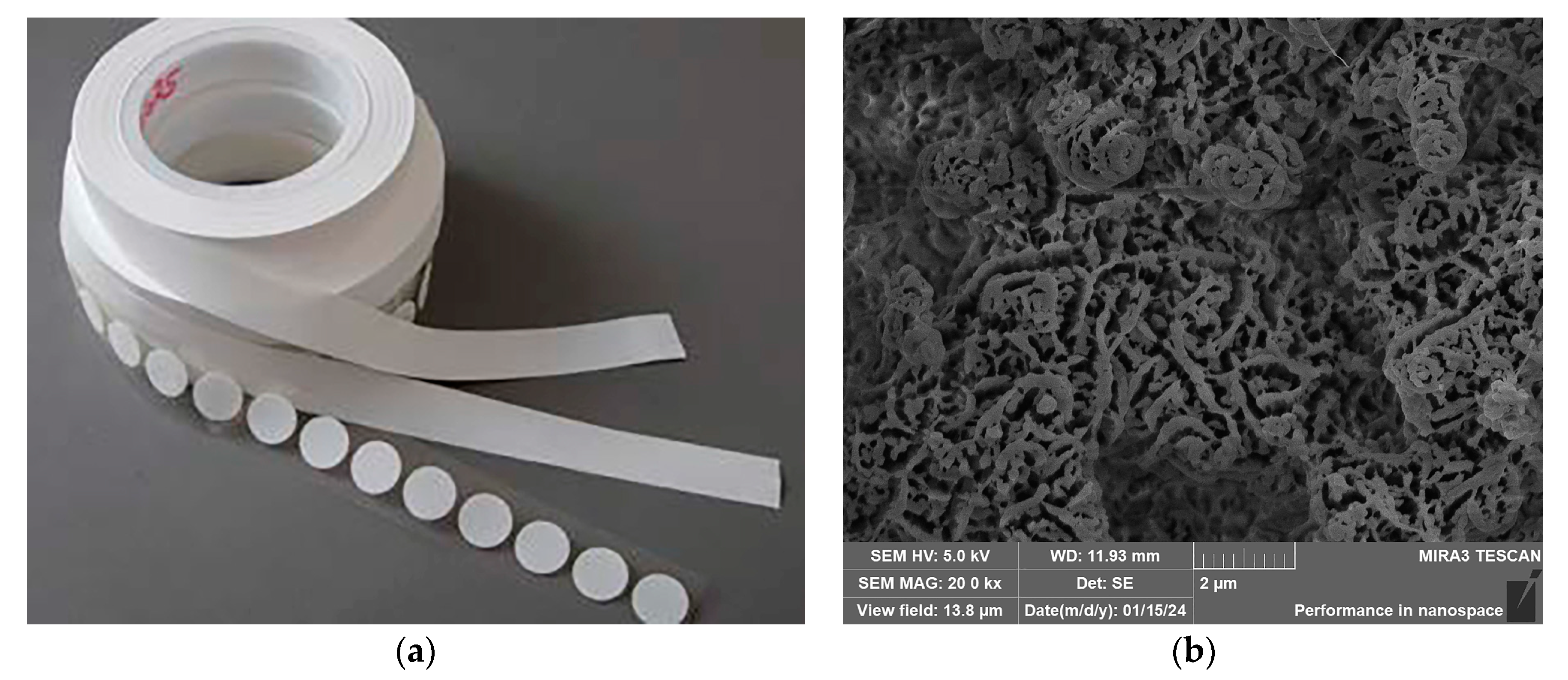 Sensors 24 00900 g012