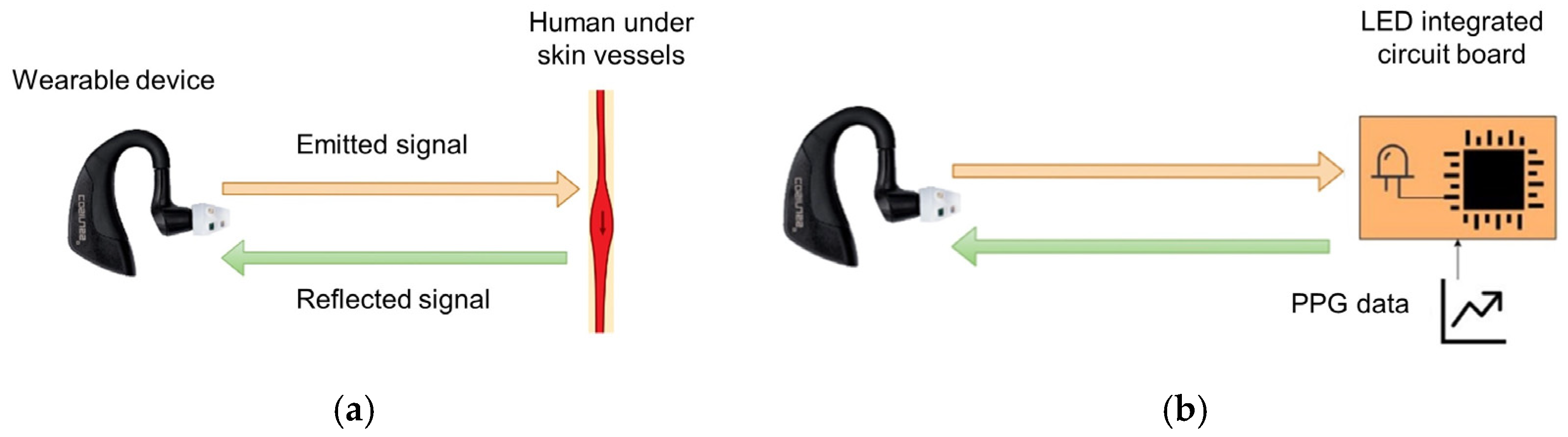 Sensors 24 01008 g003