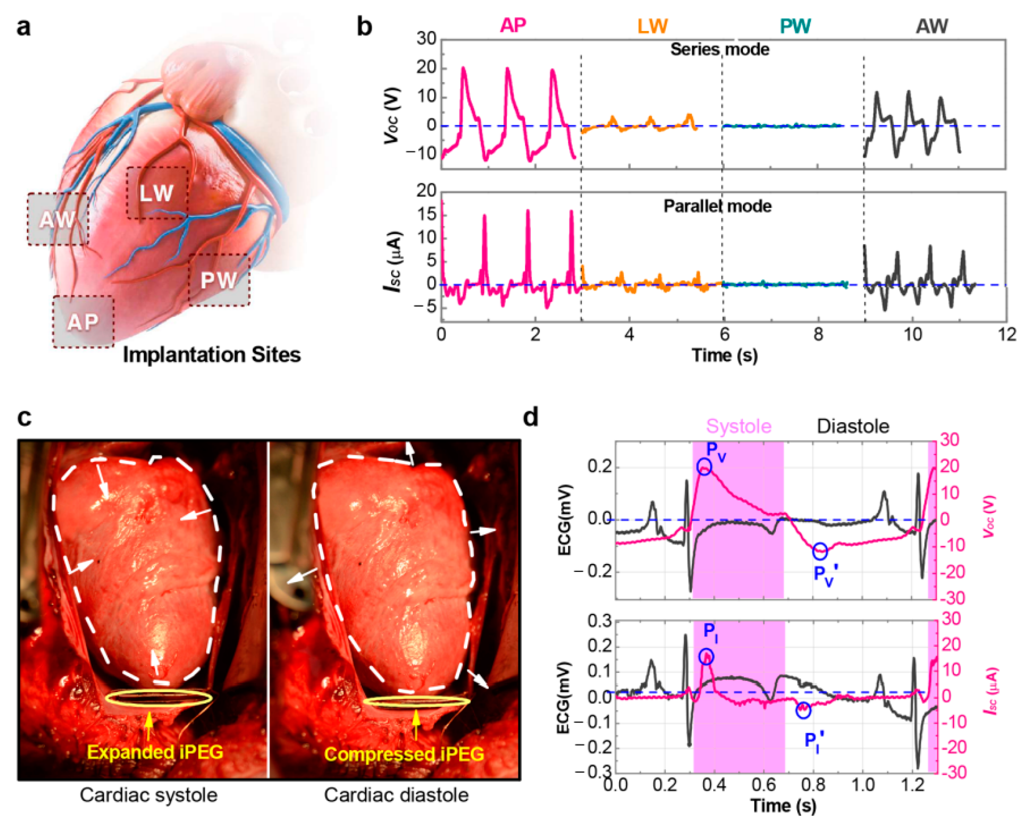 Sensors 24 01069 g017