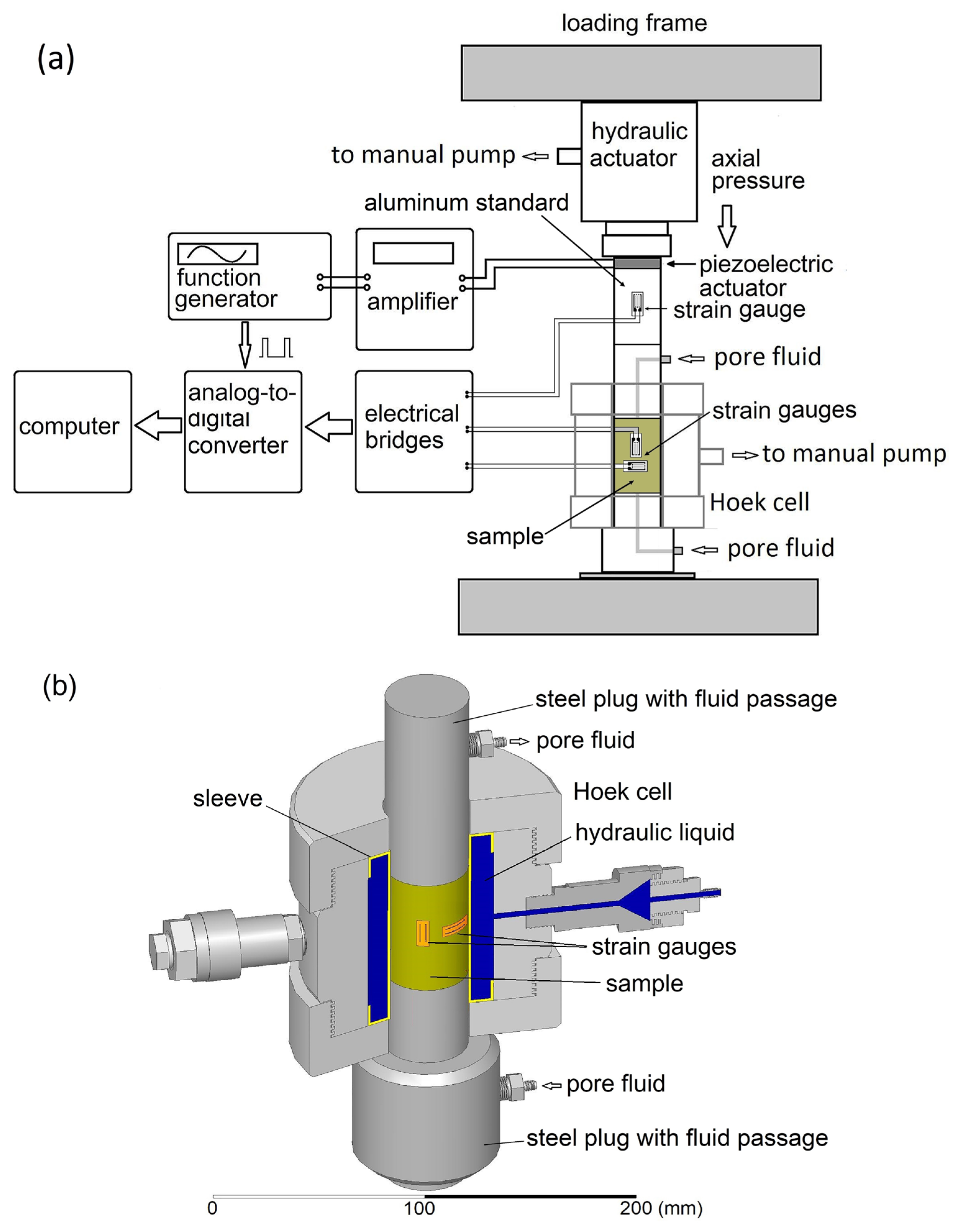 Sensors 24 01122 g001