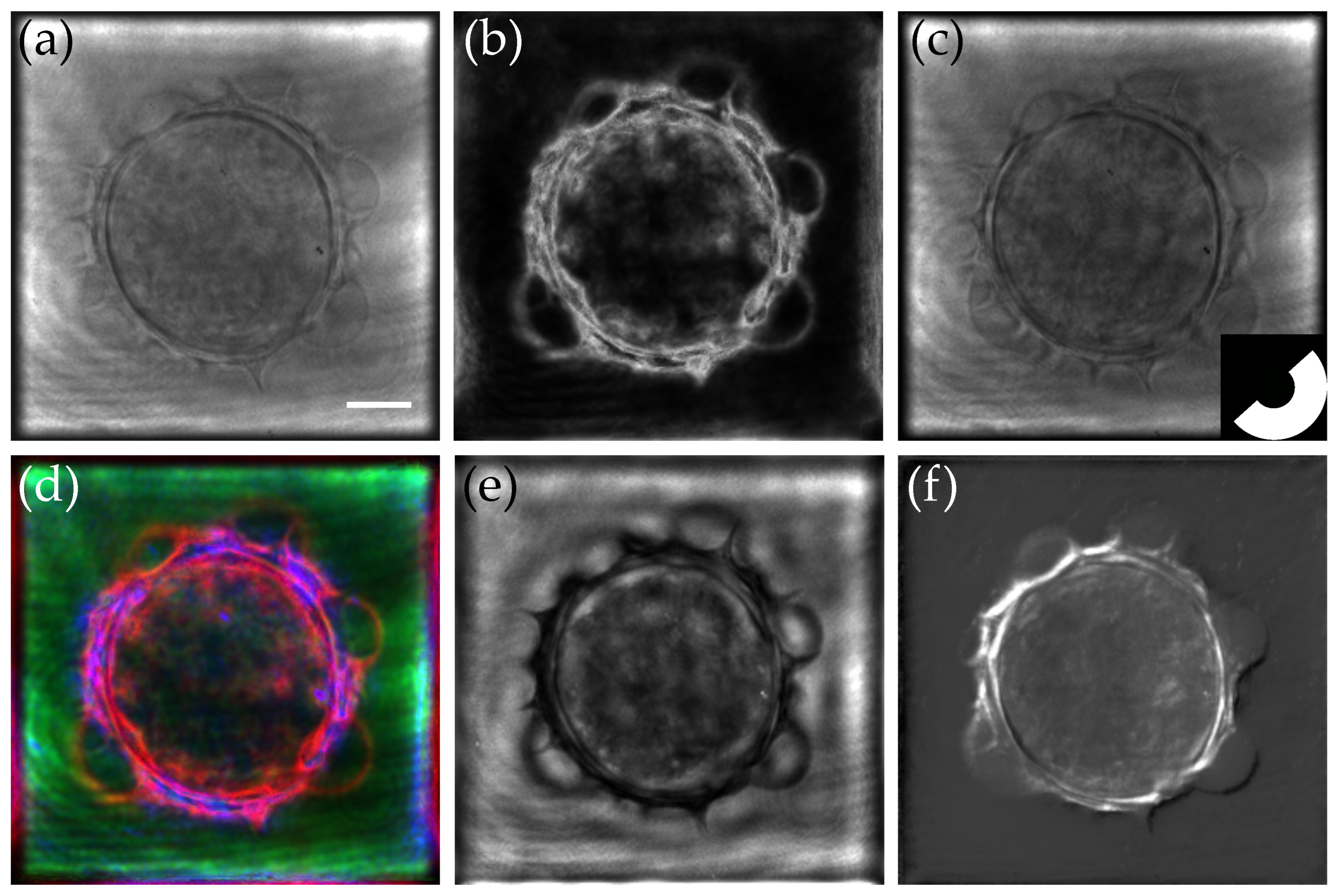 Sensors 24 01594 g007