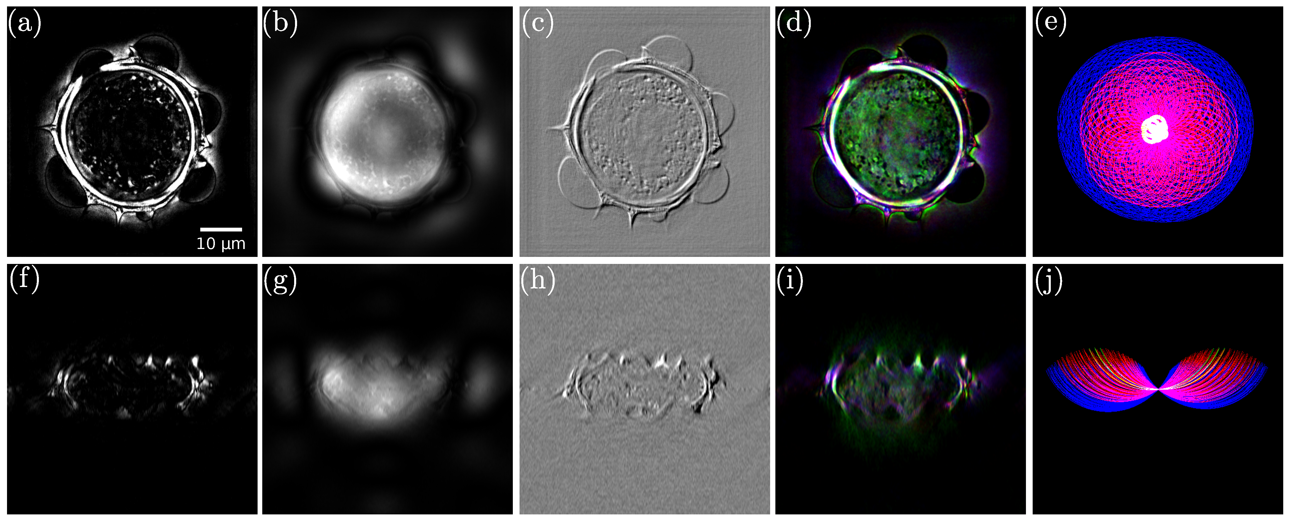Sensors 24 01594 g008