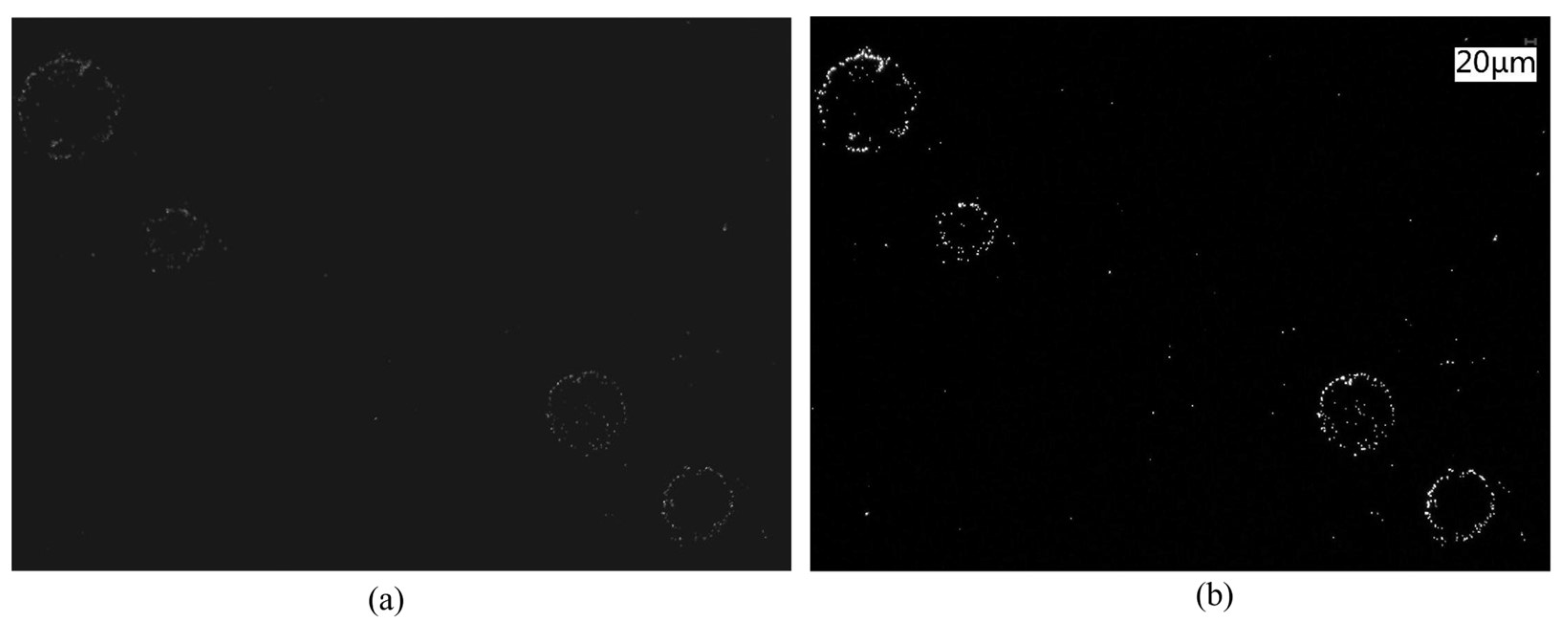 Sensors 24 01622 g008