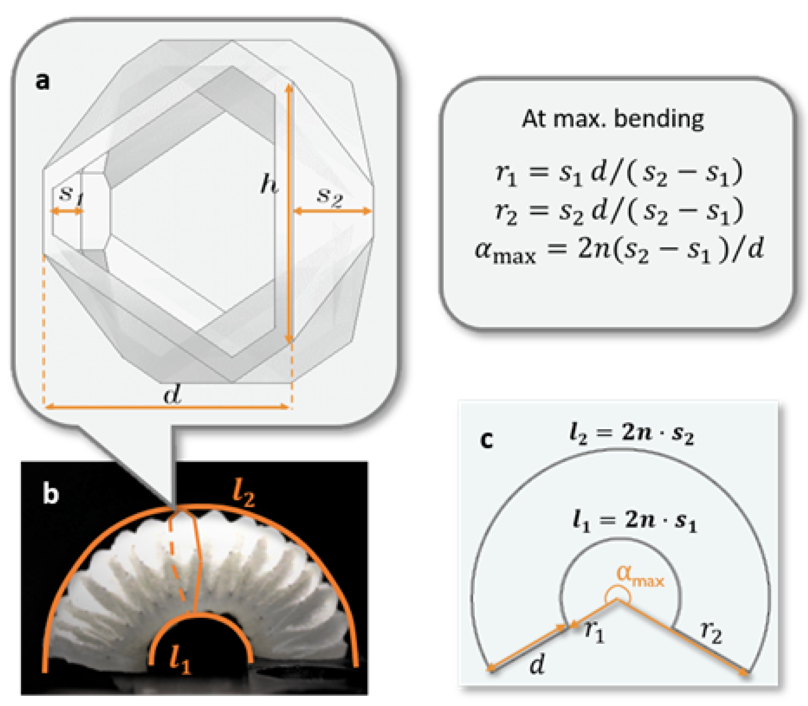 Sensors 24 01751 g002