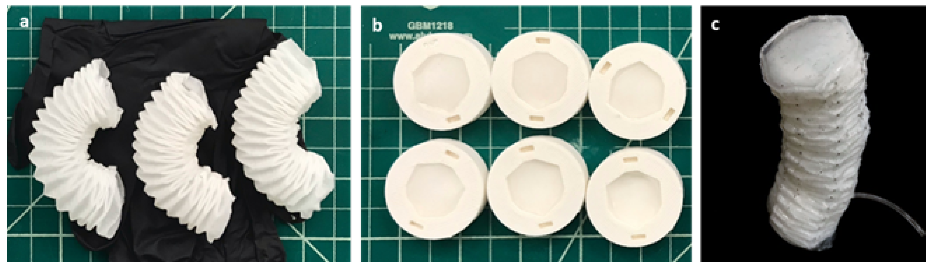 Sensors 24 01751 g003