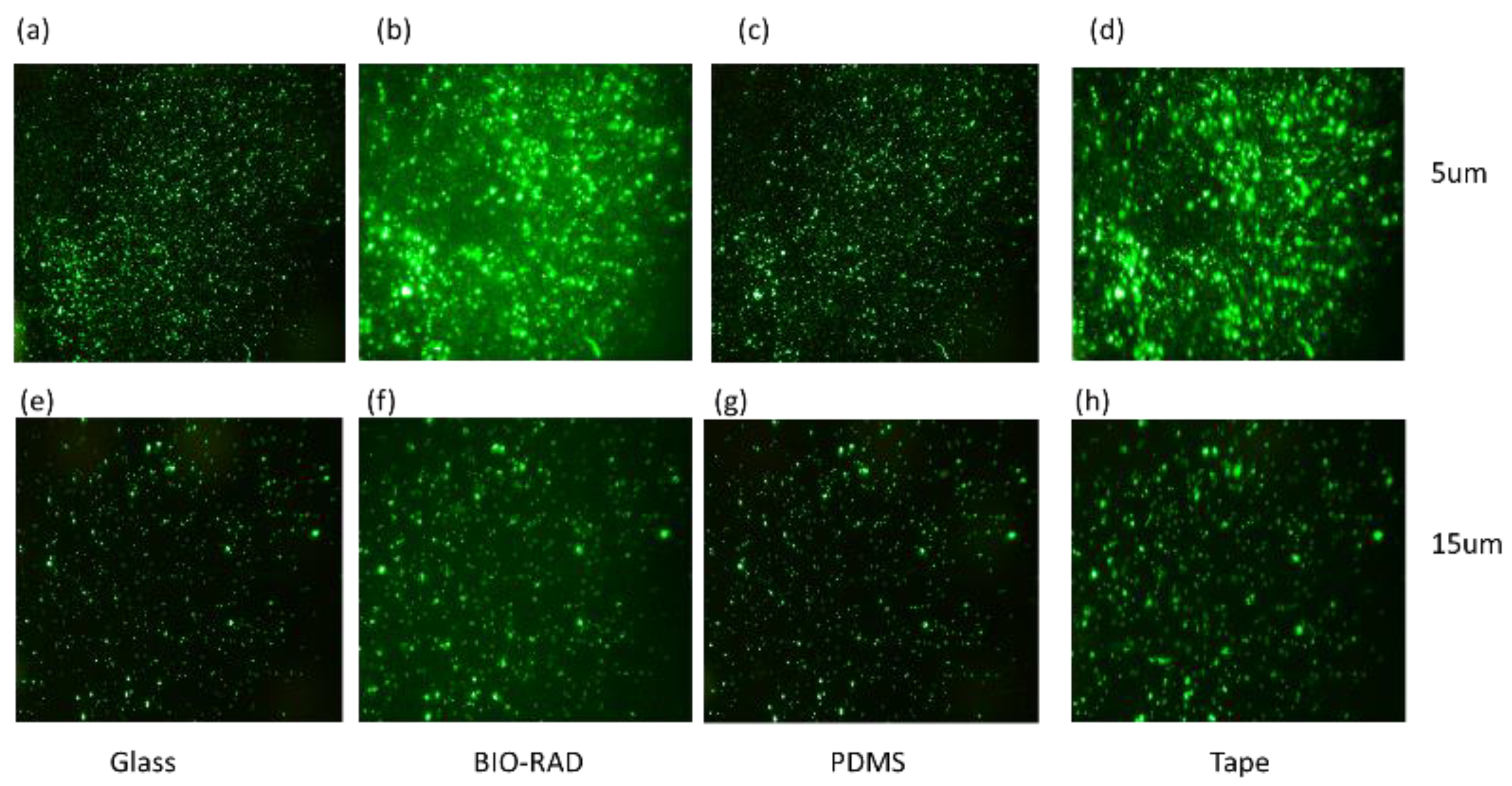 Sensors 24 01797 g003