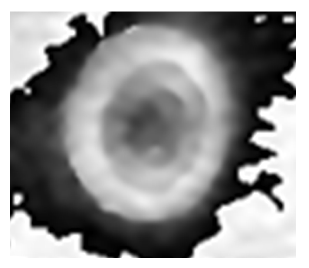 Sensors 24 01950 g005