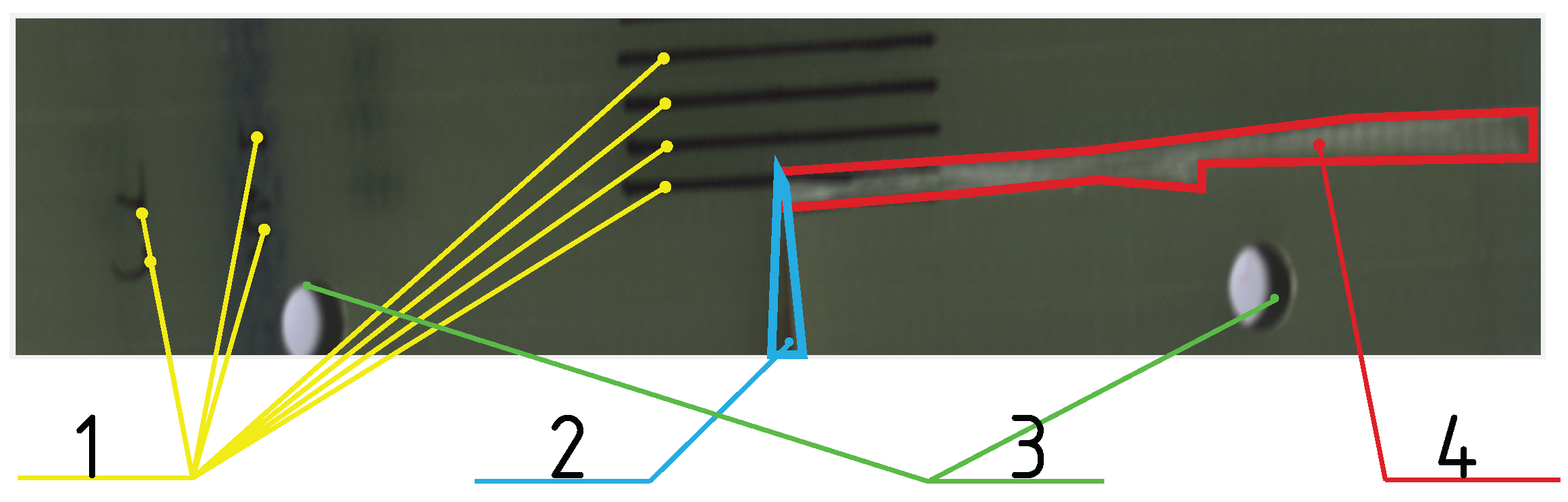 Sensors 24 01980 g004