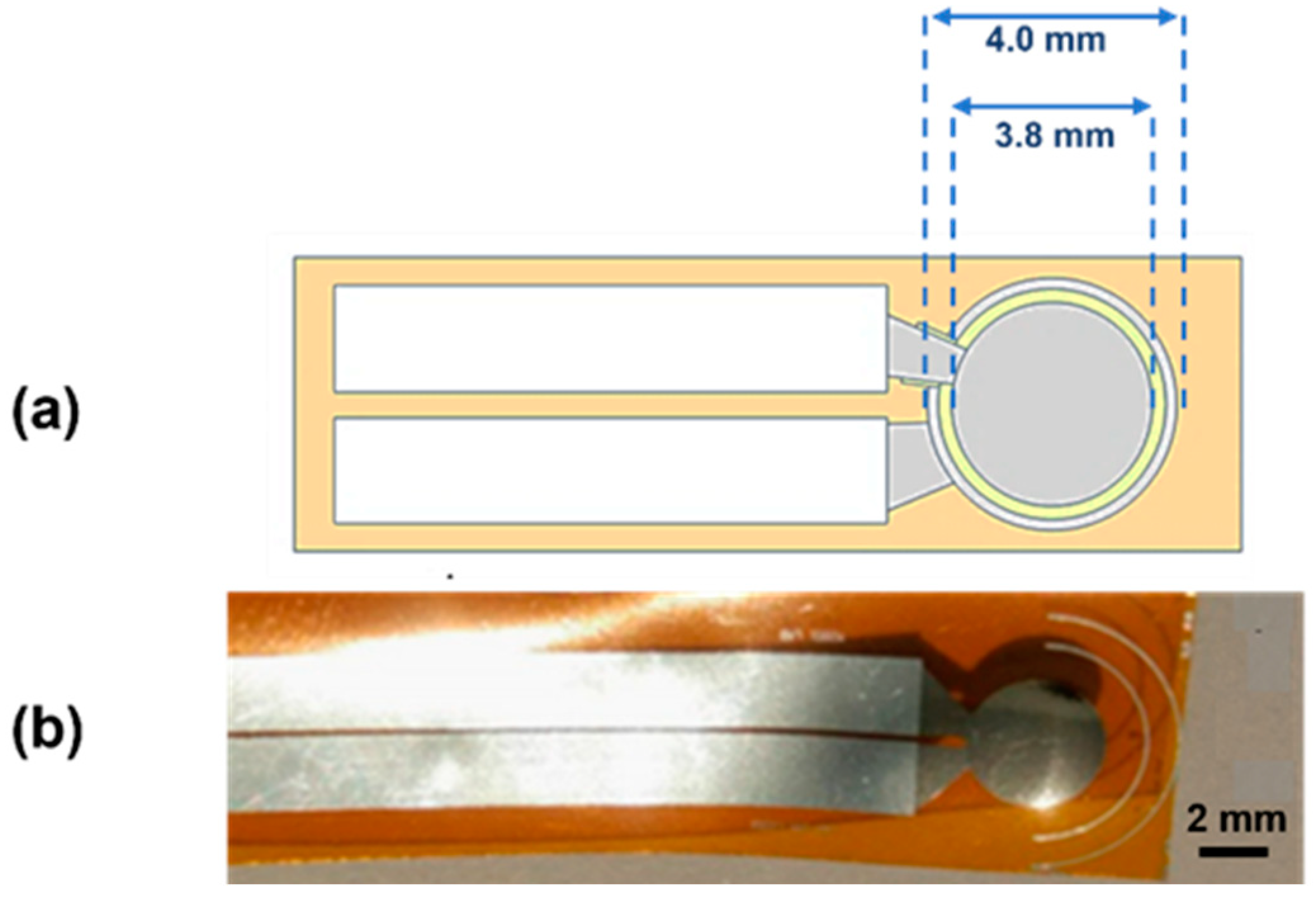 Sensors 24 02071 g001