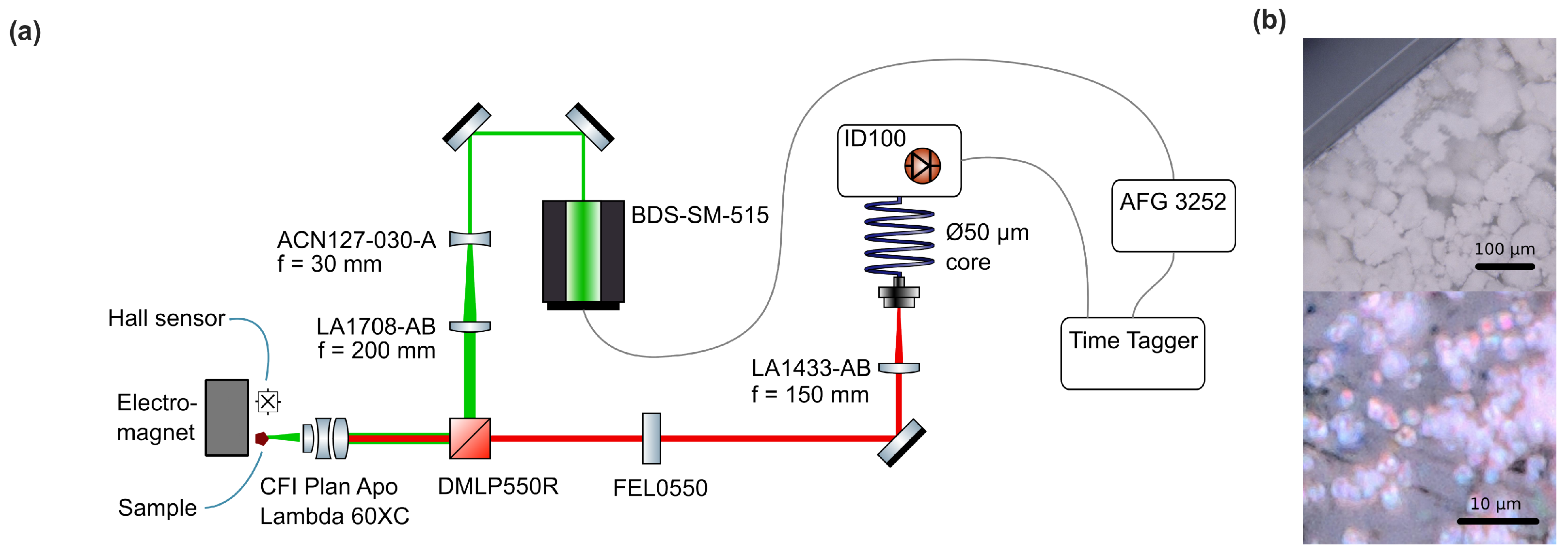 Sensors 24 02093 g001