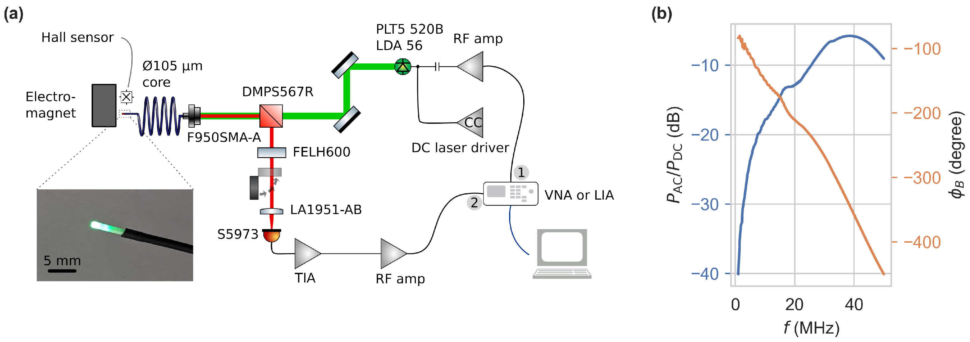 Sensors 24 02093 g003