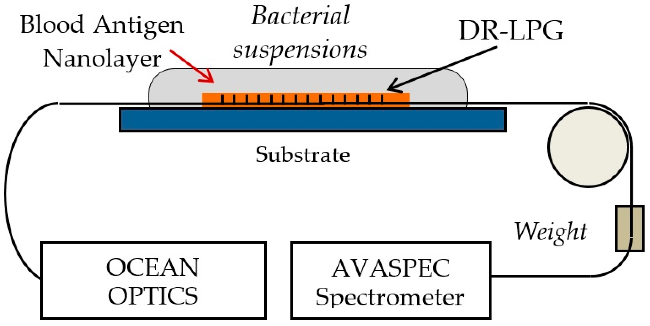 Sensors 24 02118 g006