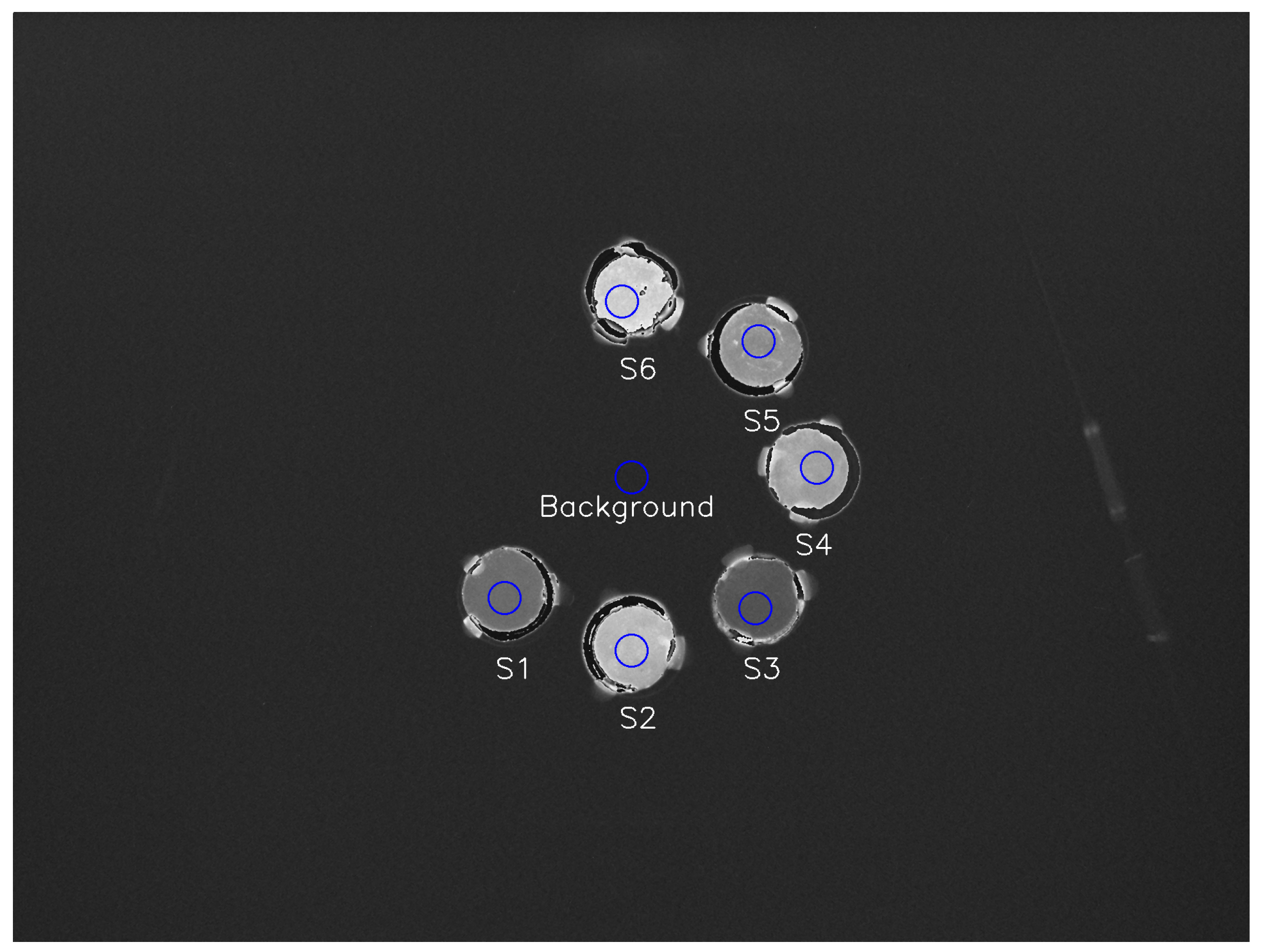 Sensors 24 02137 g002