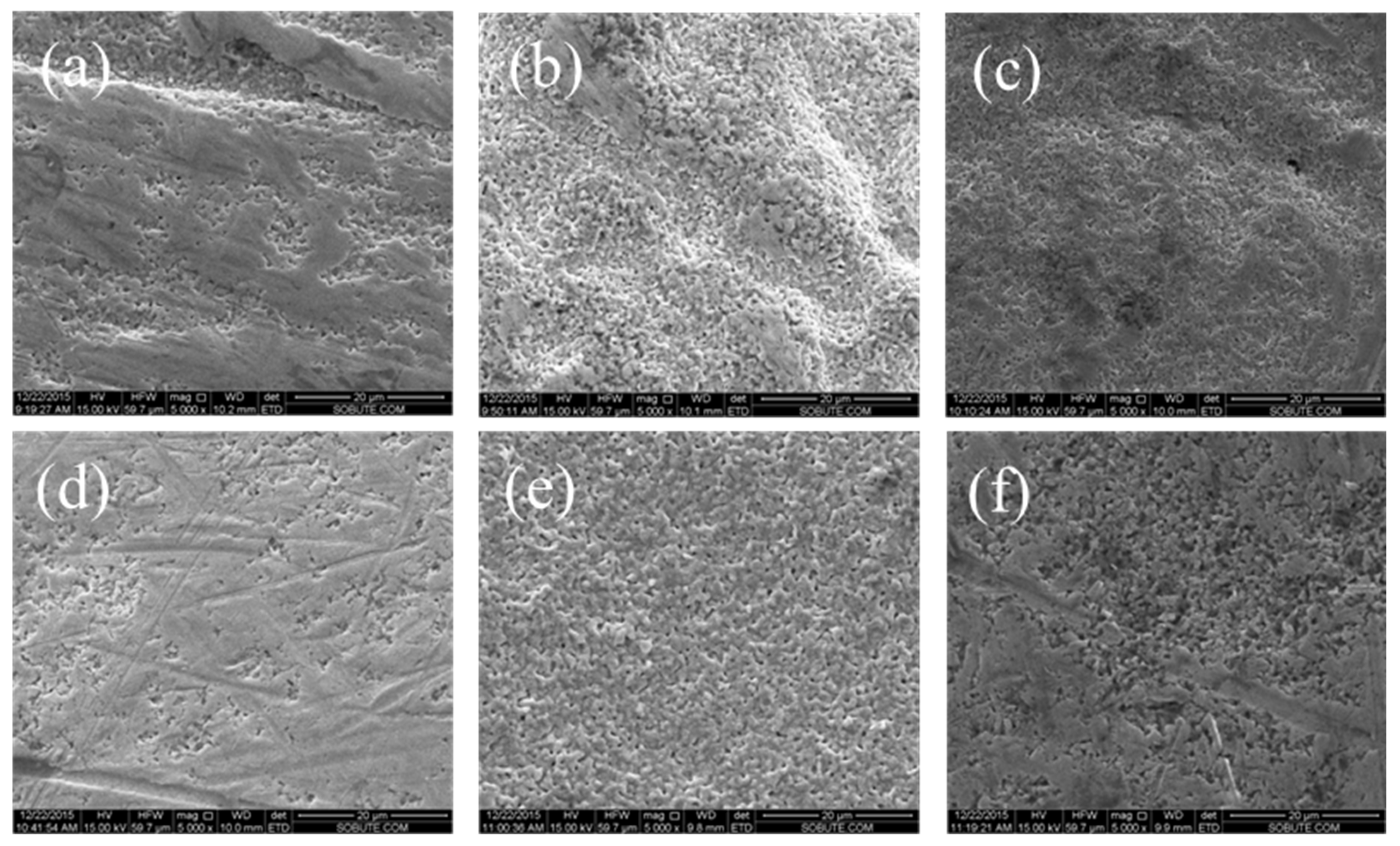 Sensors 24 02149 g006