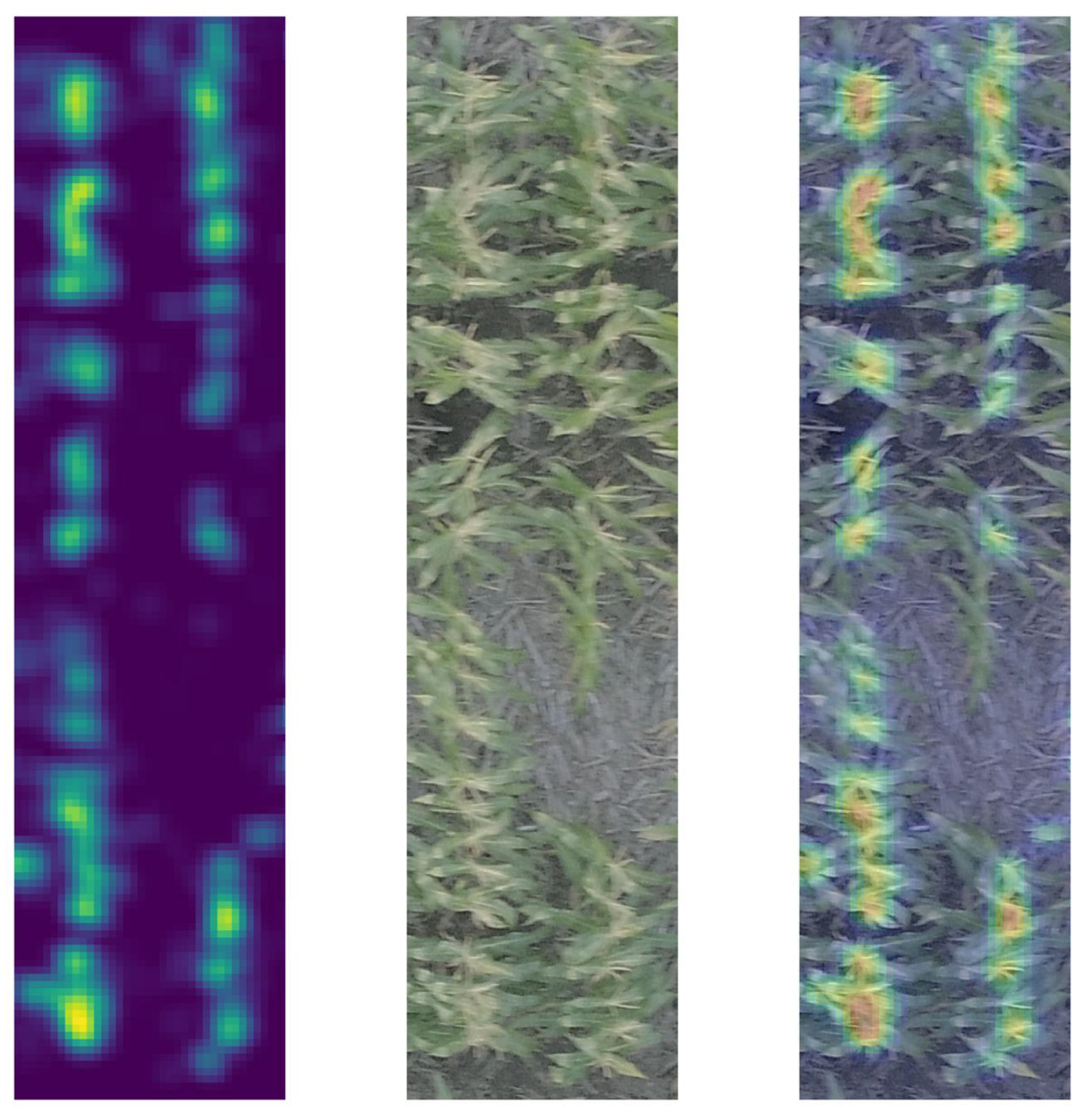 Sensors 24 02172 g003