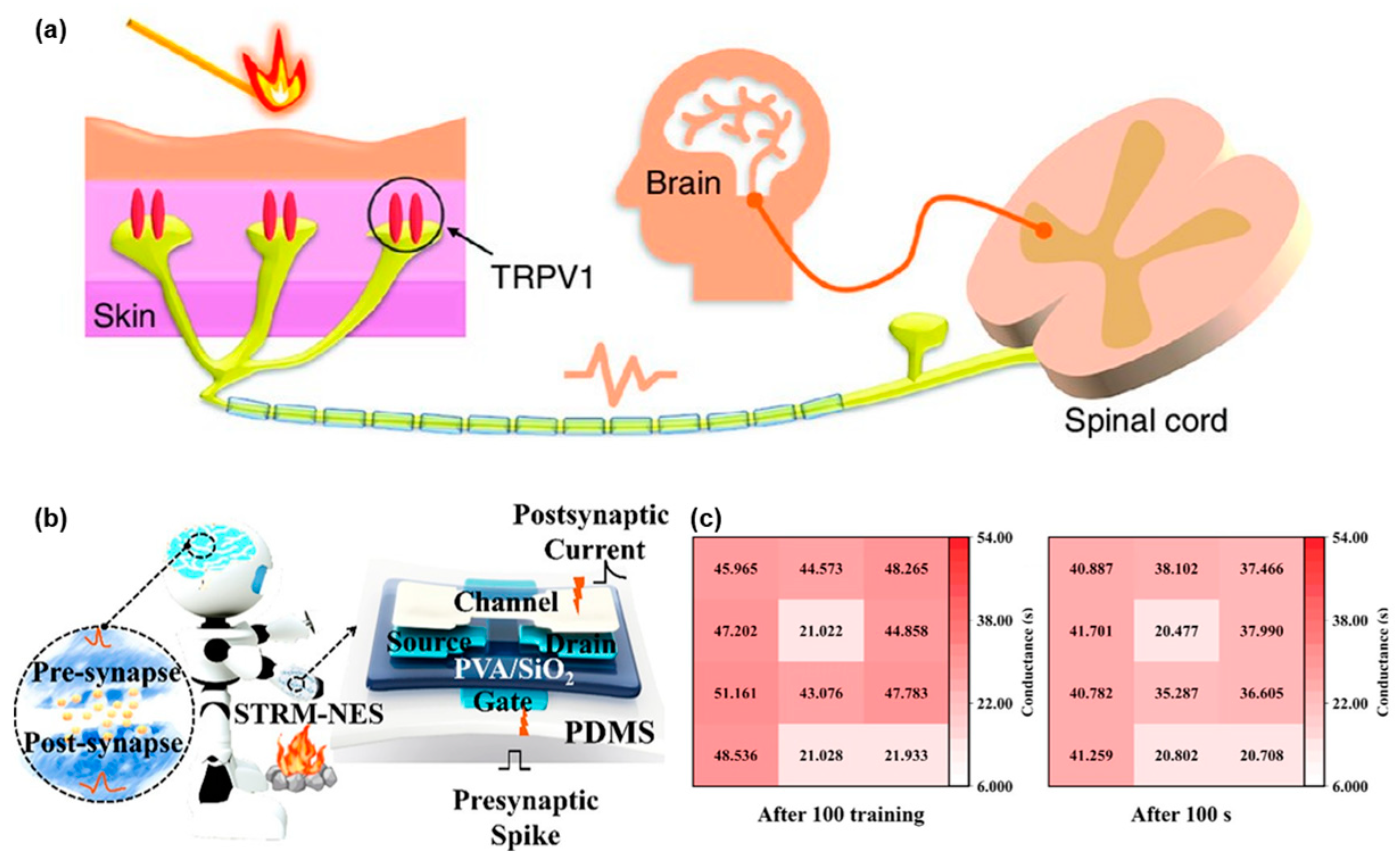 Sensors 24 02180 g003