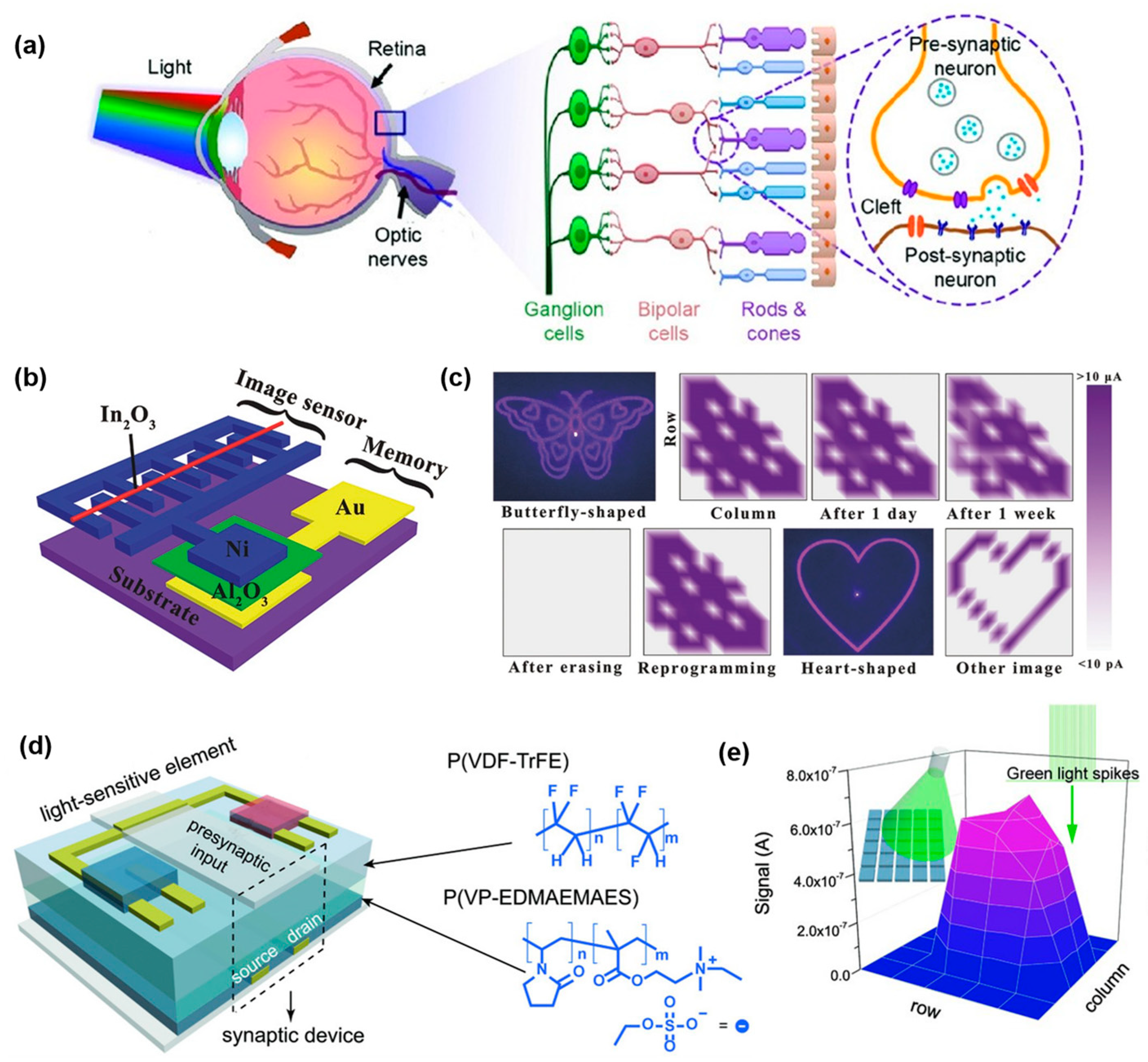 Sensors 24 02180 g004