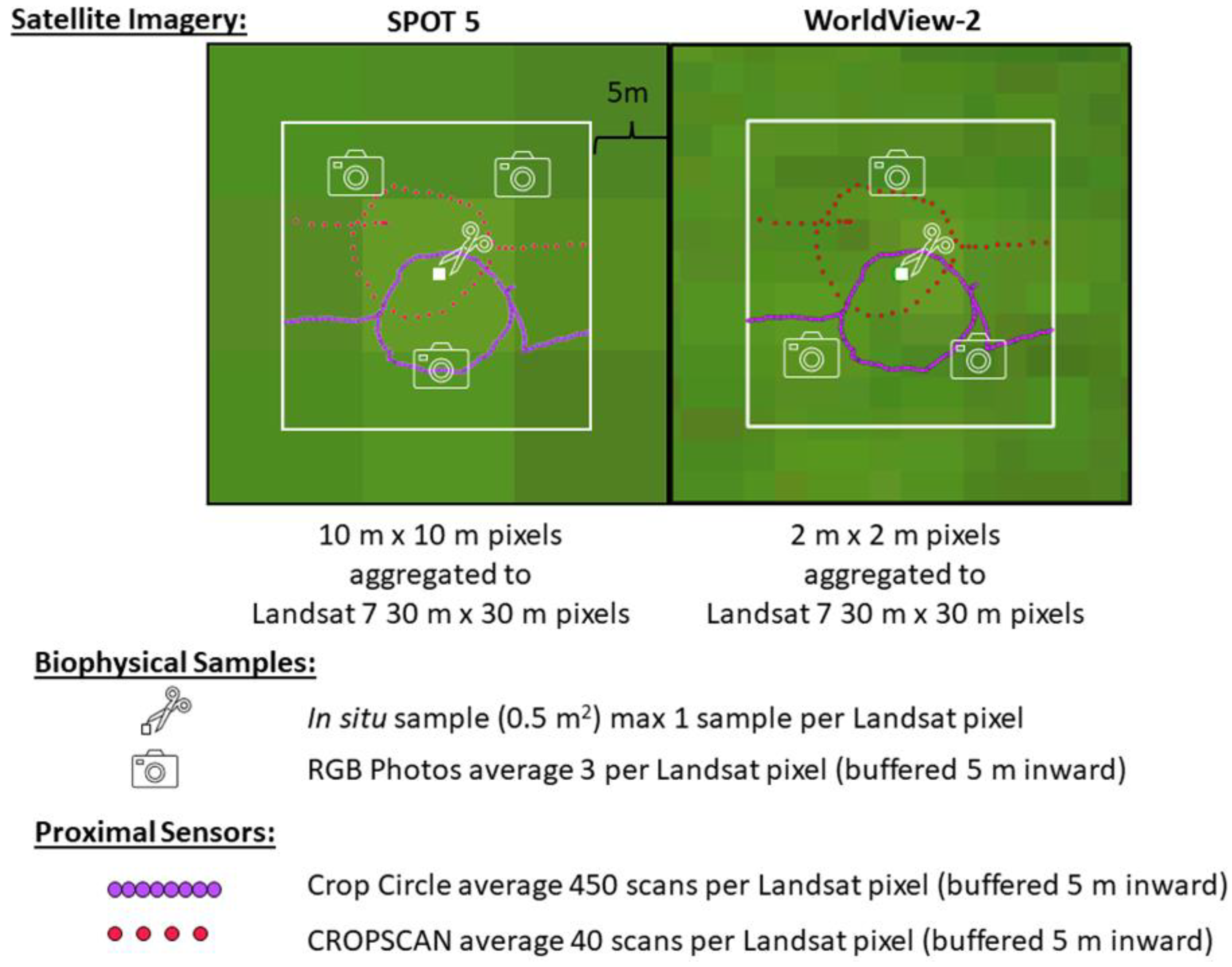 Sensors 24 02339 g002