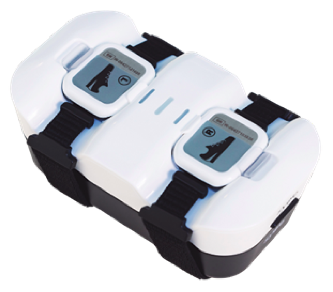 Sensors 24 02413 g001