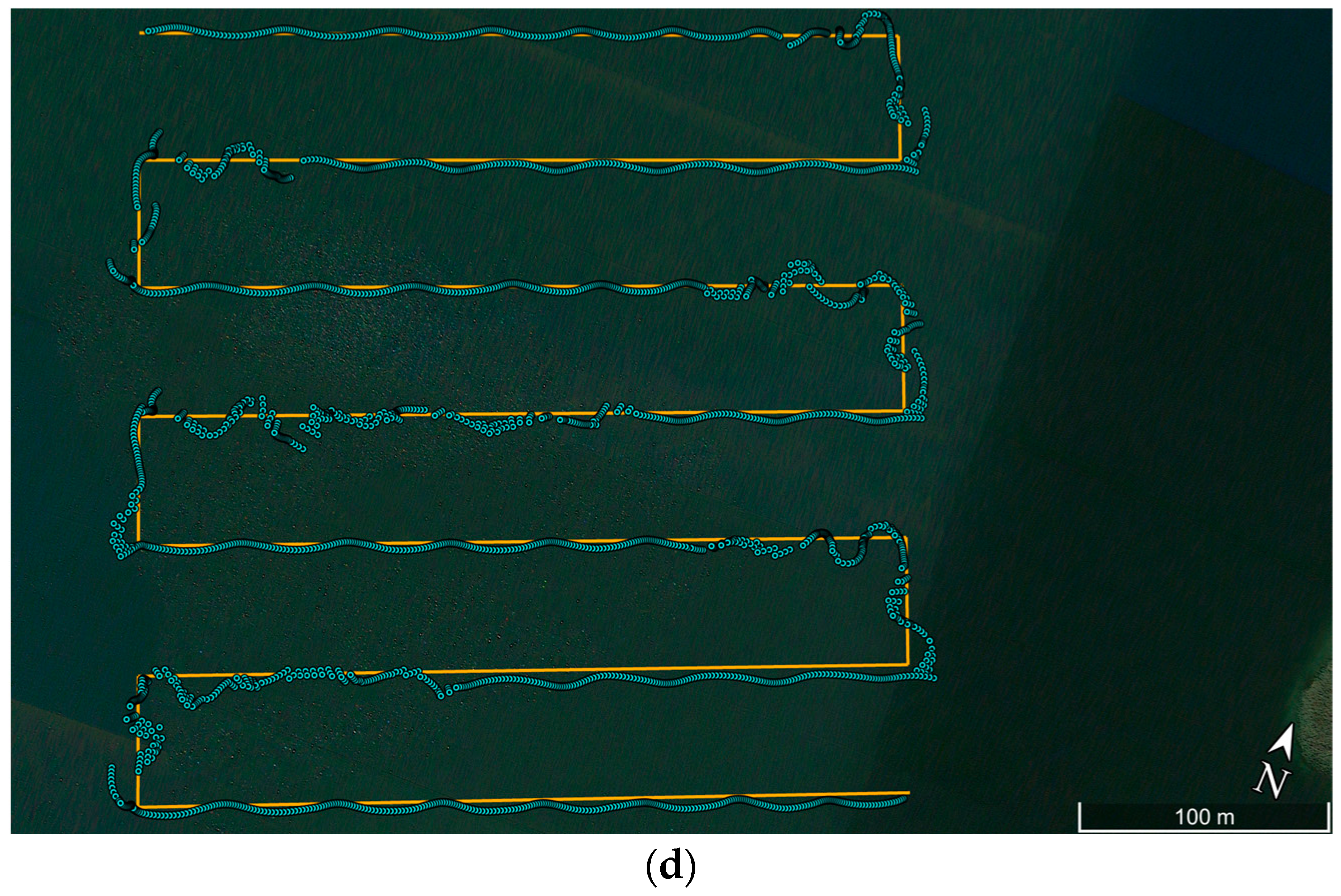Sensors 24 02418 g002b