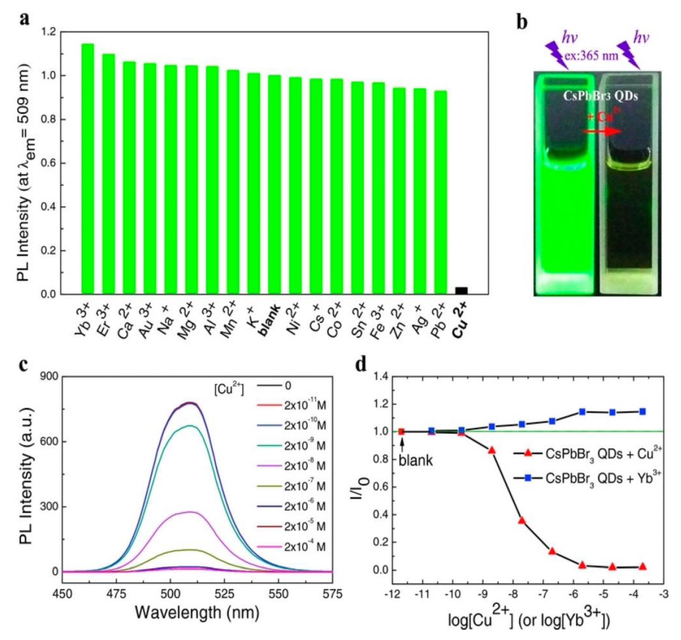 Sensors 24 02504 g003