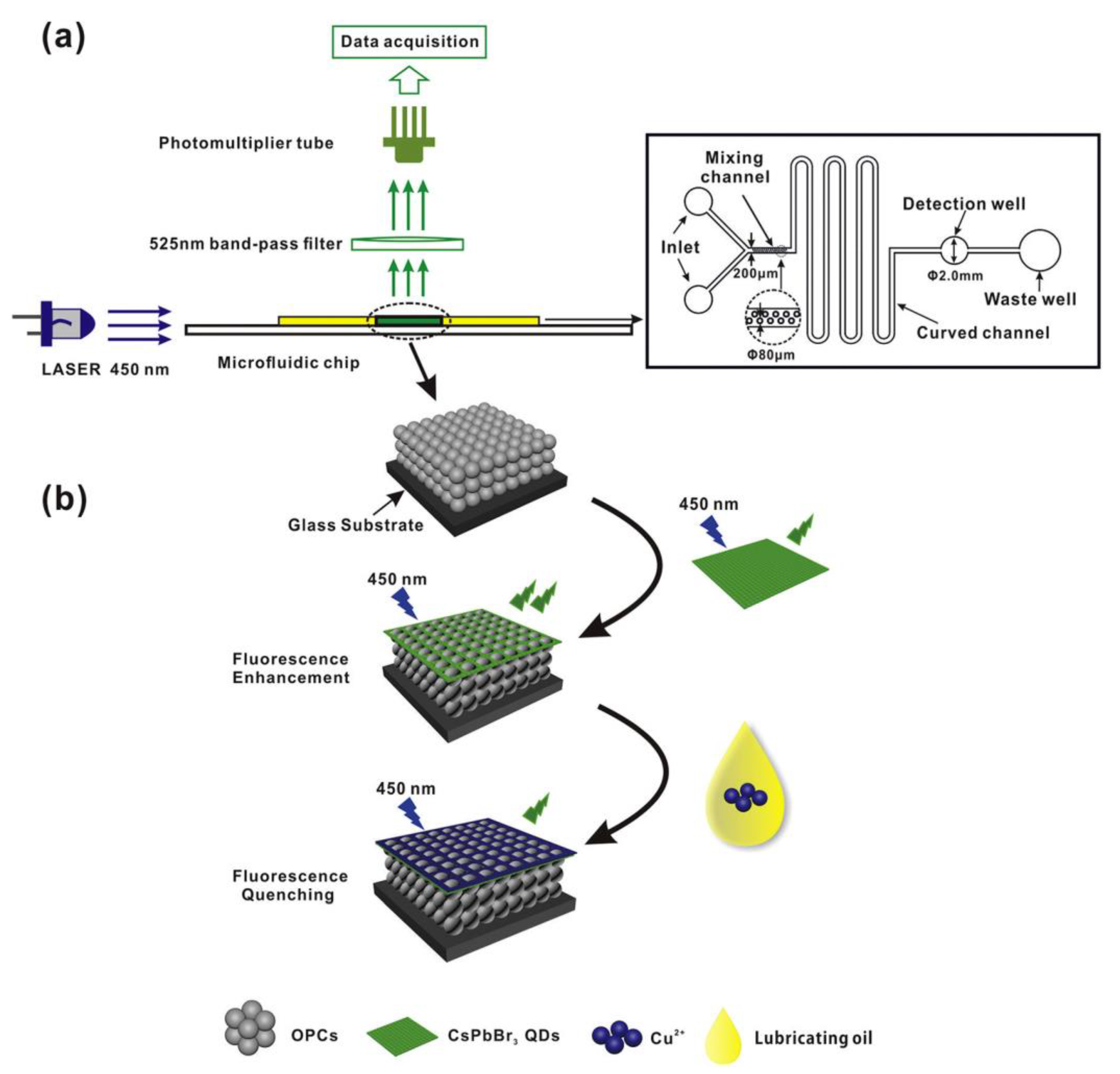 Sensors 24 02504 g005