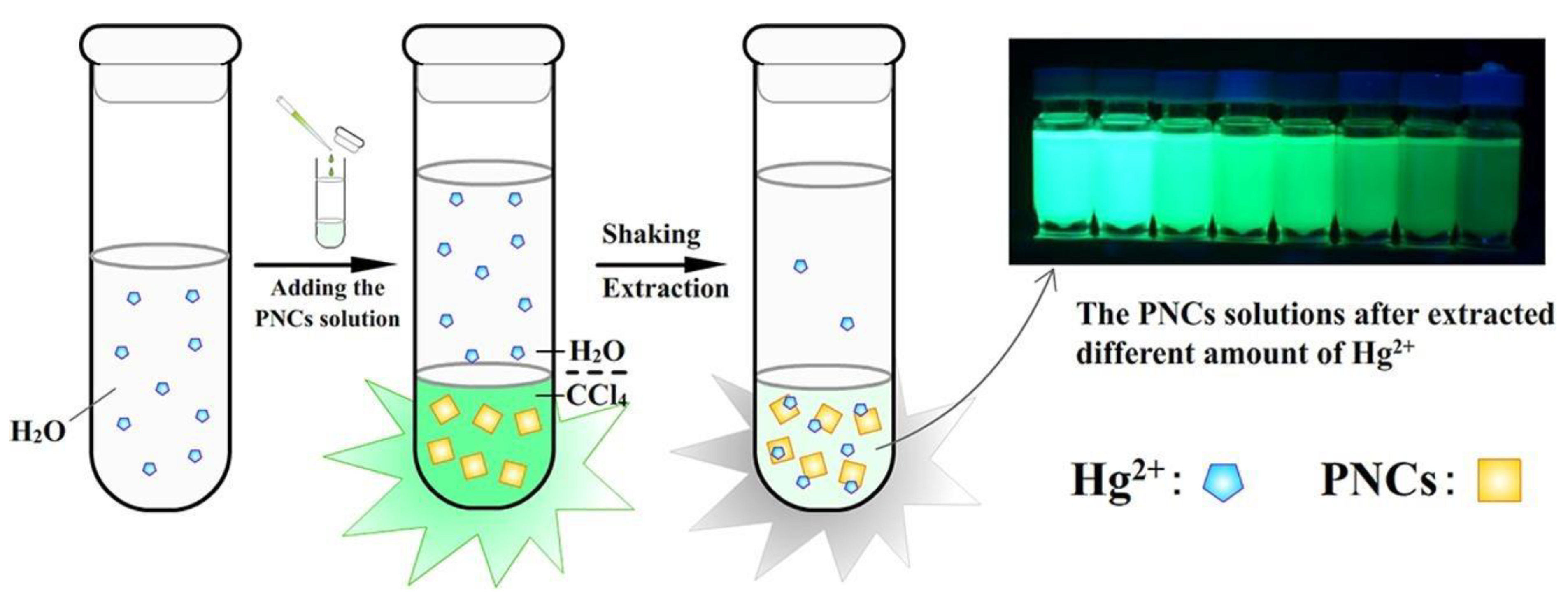 Sensors 24 02504 g006