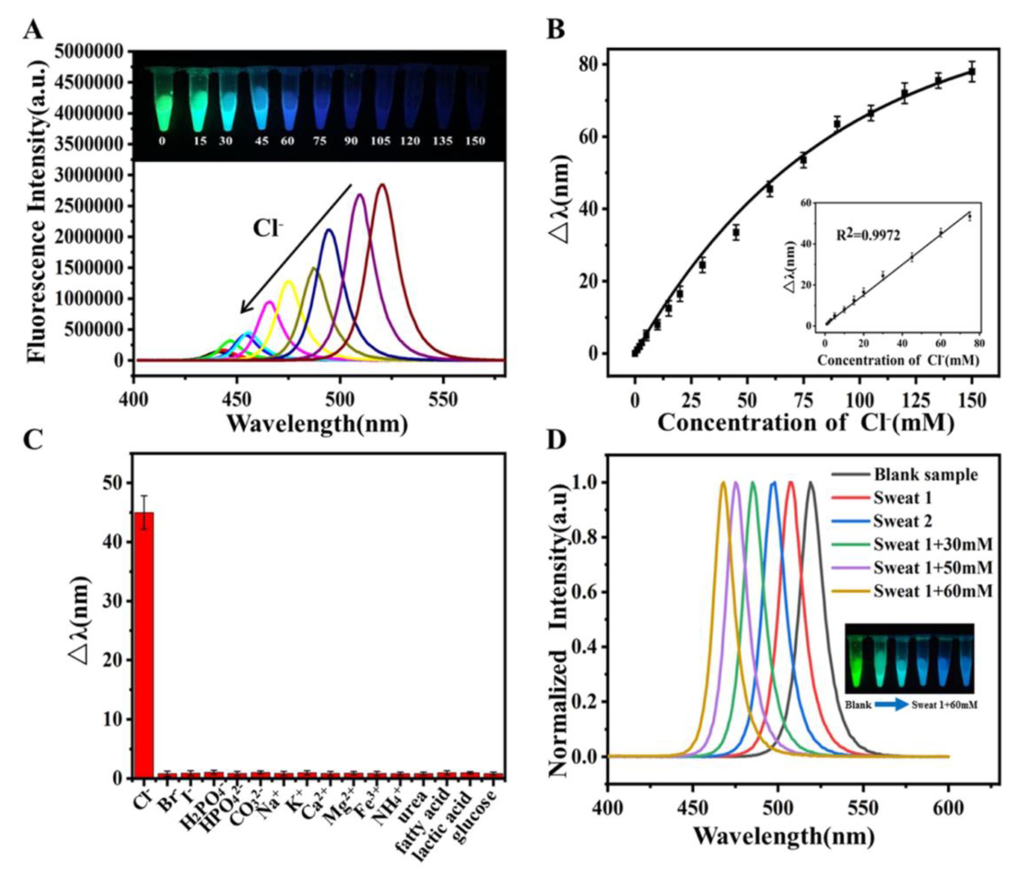 Sensors 24 02504 g008