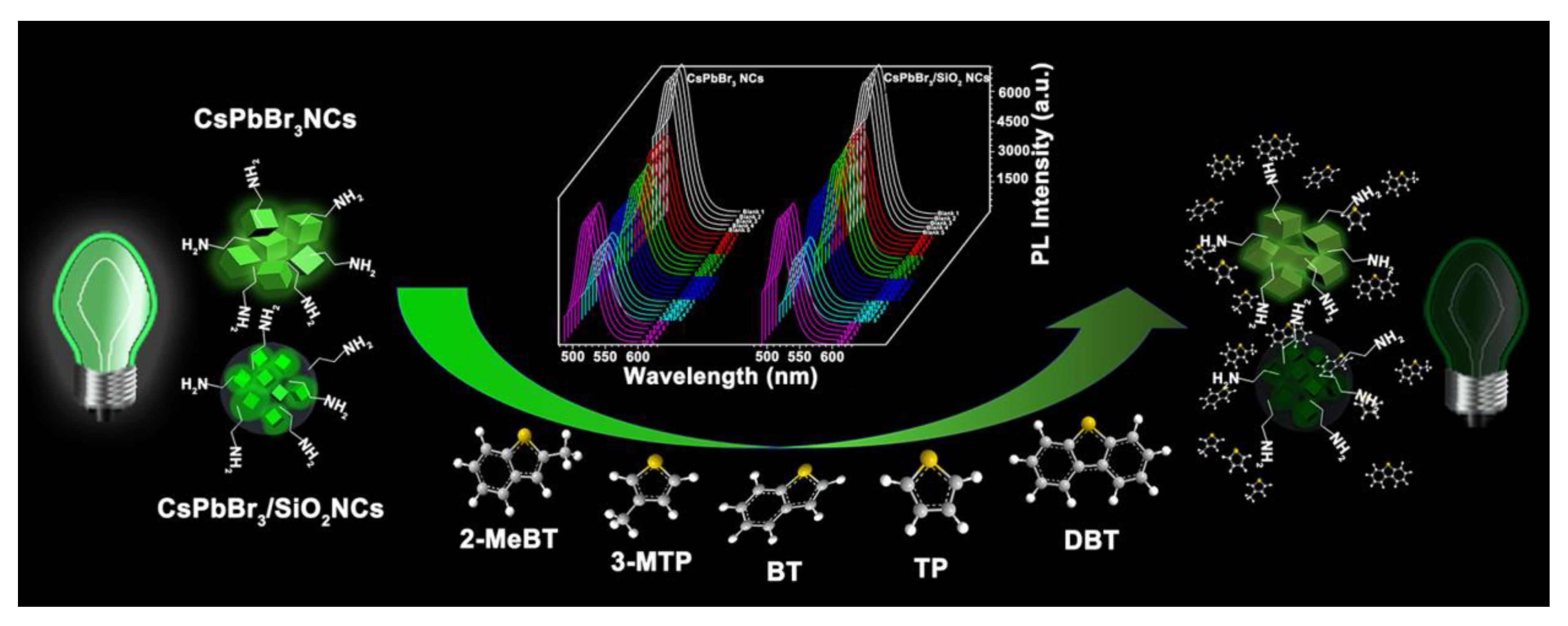 Sensors 24 02504 g017