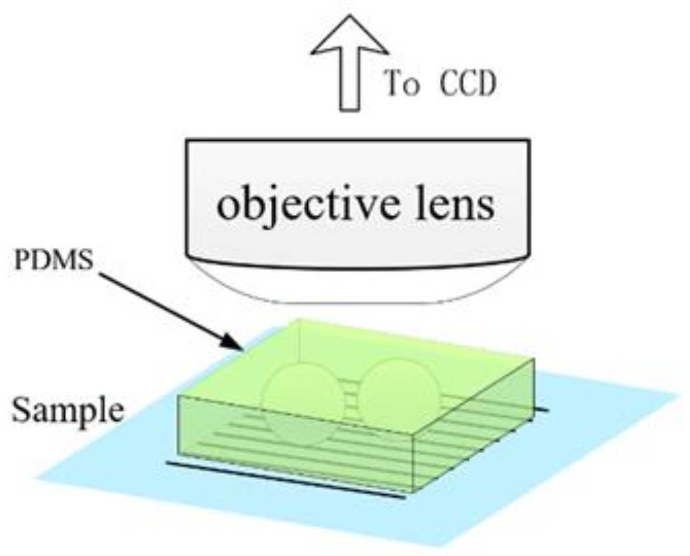 Sensors 24 02511 g009