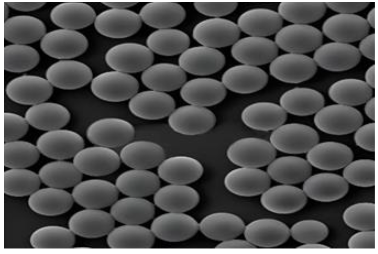 Sensors 24 02511 g010