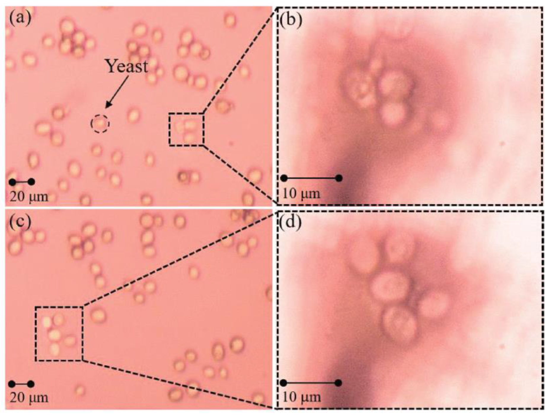 Sensors 24 02511 g024