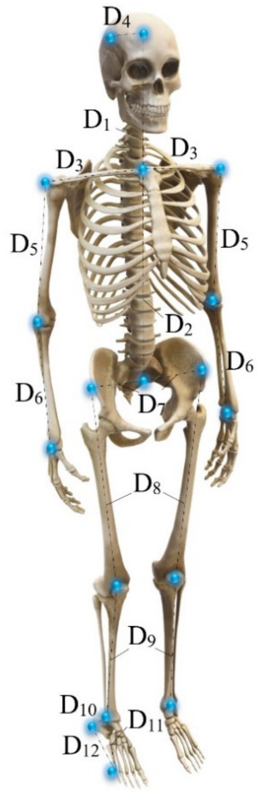 Sensors 24 02517 g001