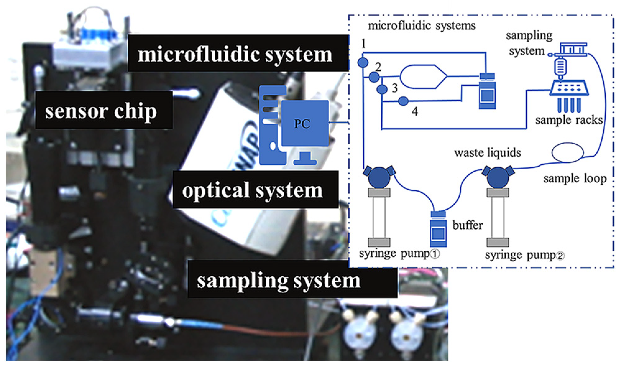 Sensors 24 02540 g010