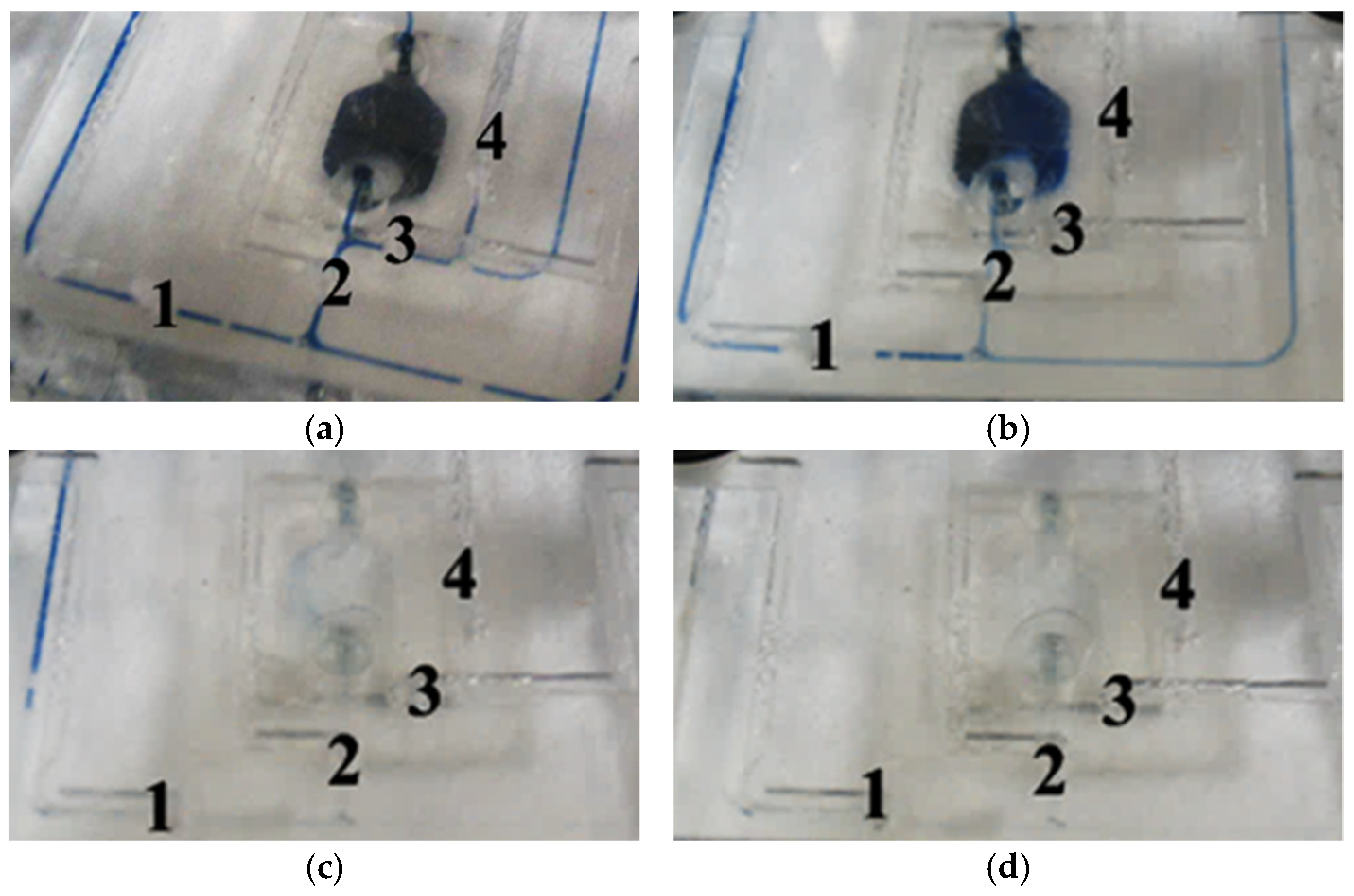 Sensors 24 02540 g011