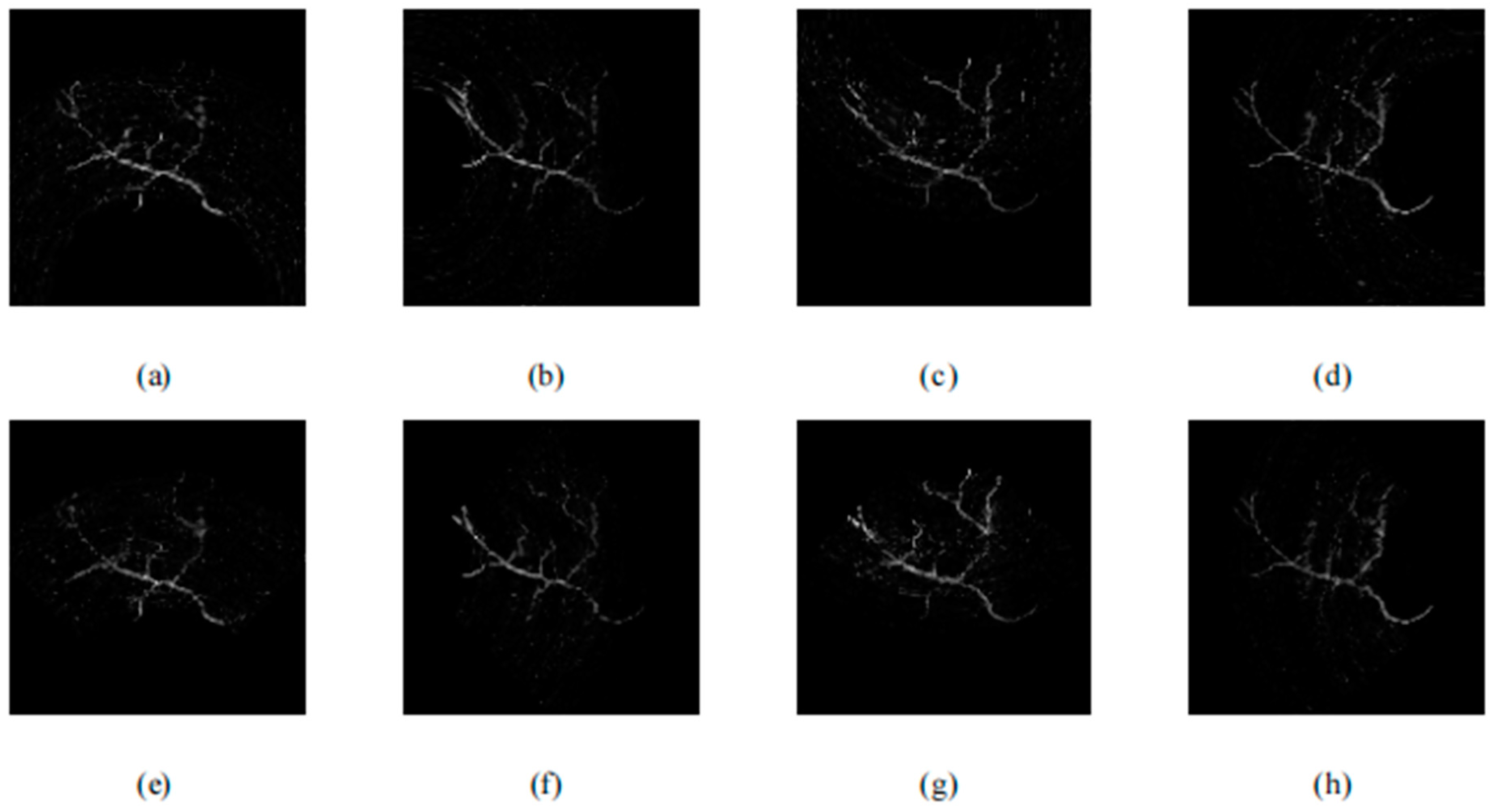 Sensors 24 02670 g014