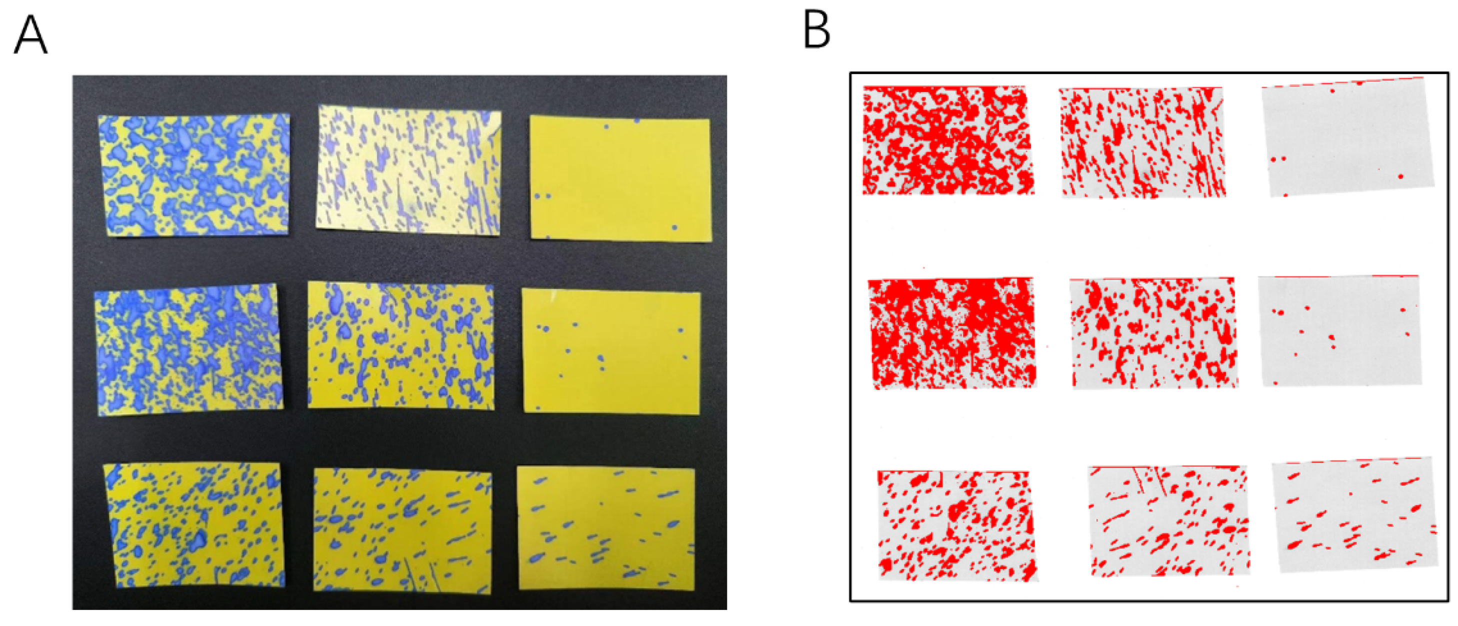 Sensors 24 02685 g002