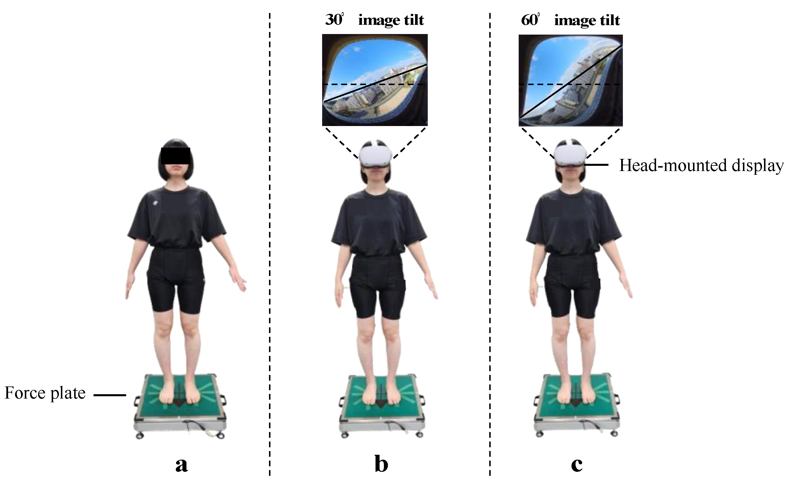 Sensors 24 02718 g001