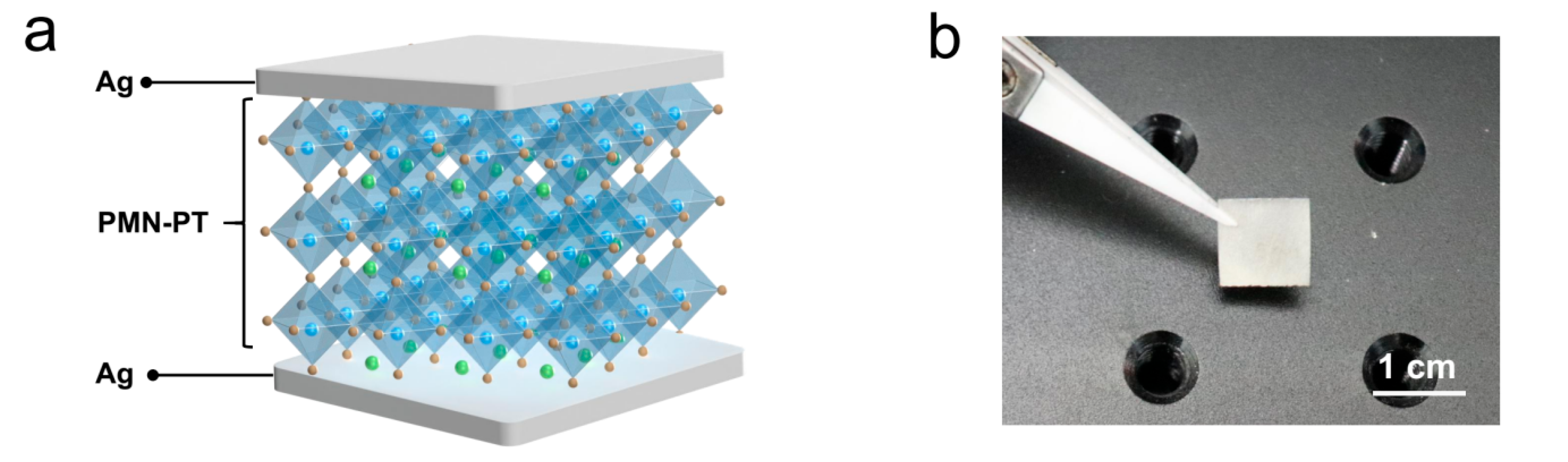 Sensors 24 02773 g001a