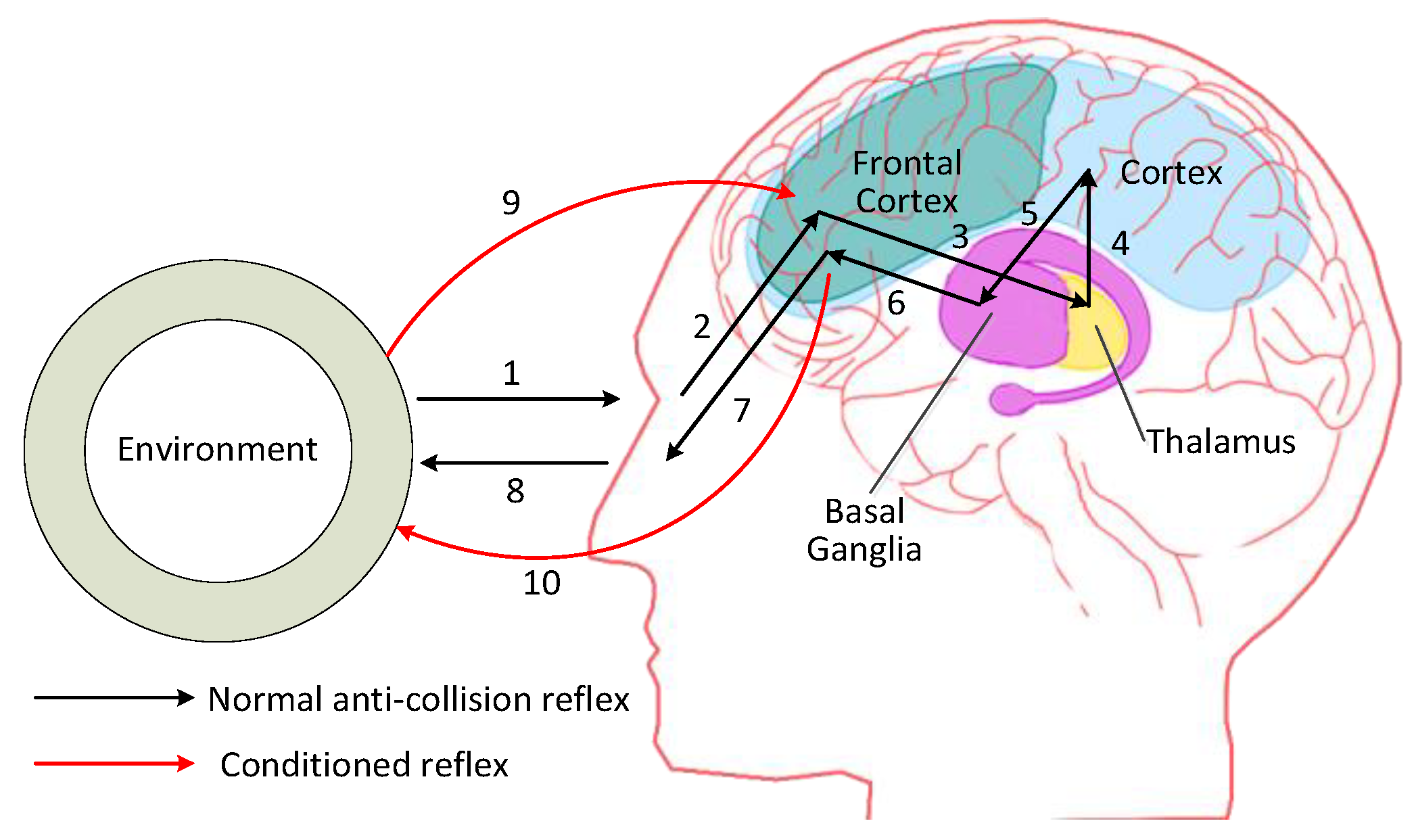 Sensors 24 02790 g001