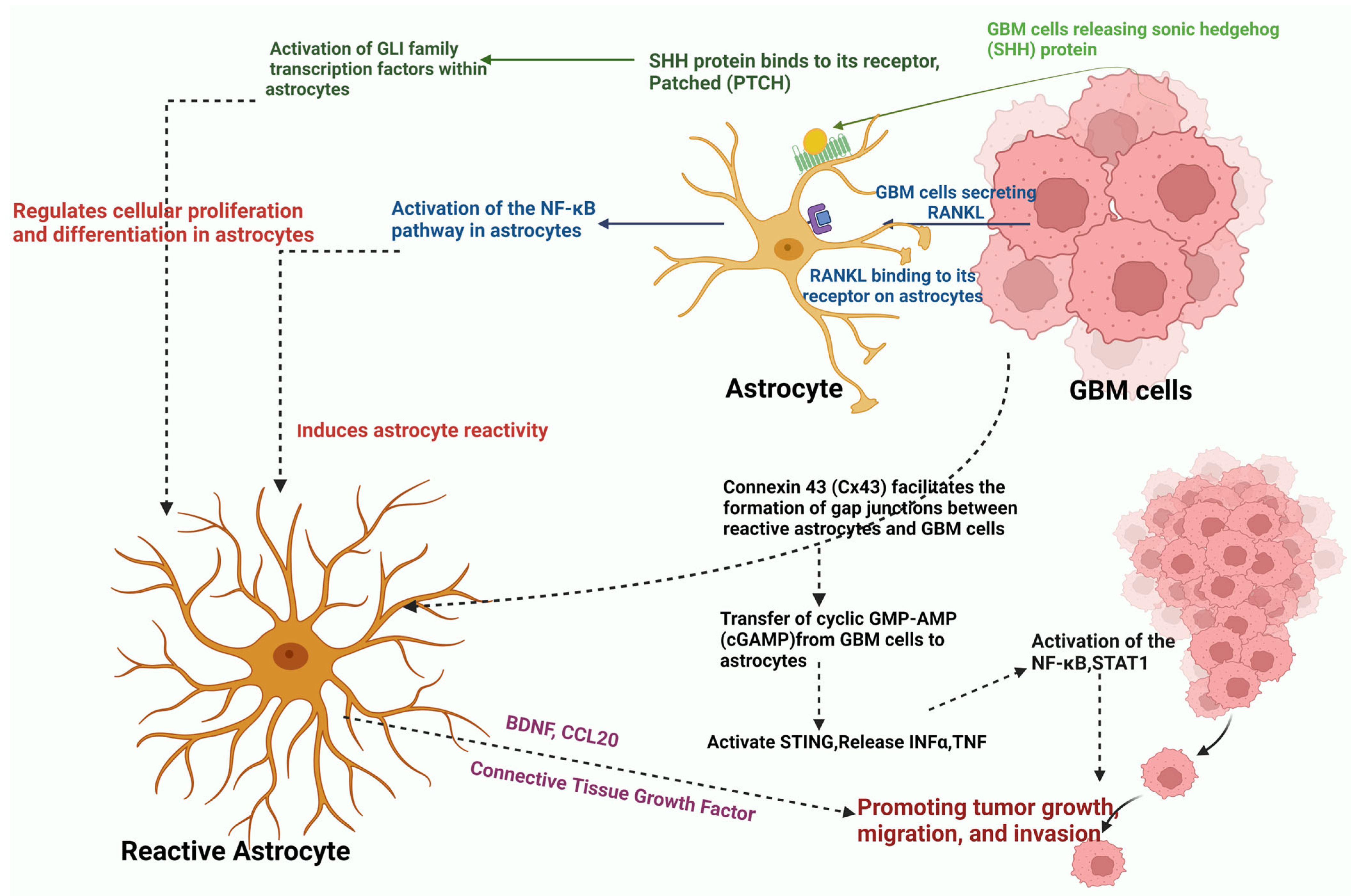 Sensors 24 02865 g003