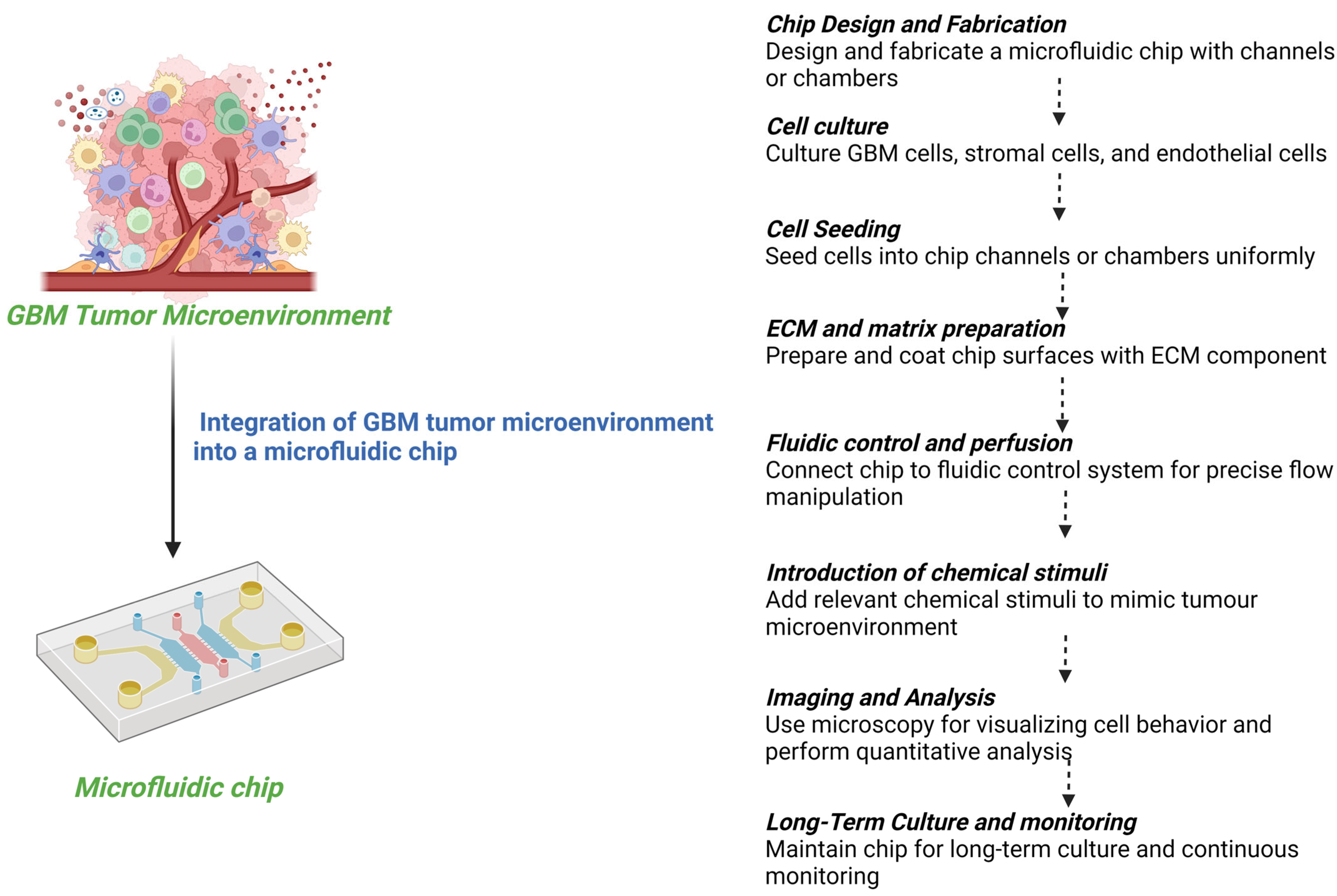 Sensors 24 02865 g005