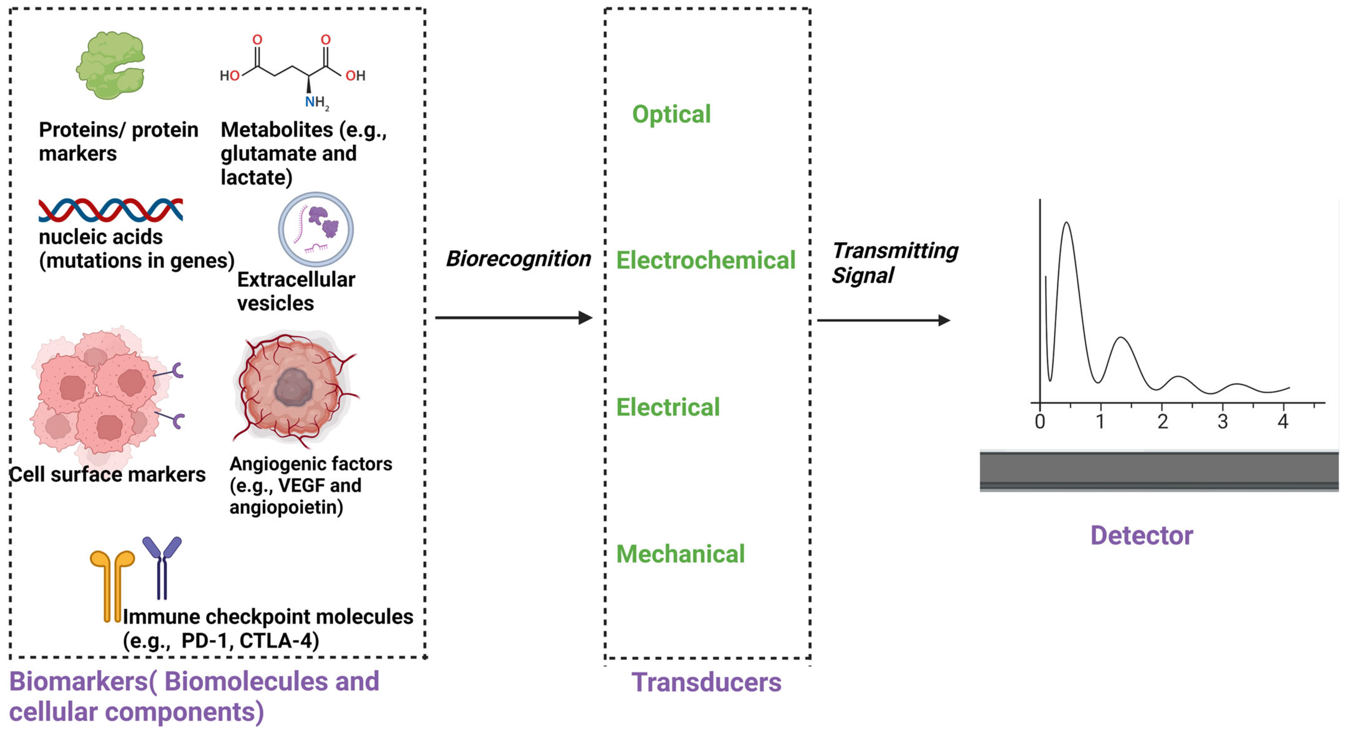 Sensors 24 02865 g007