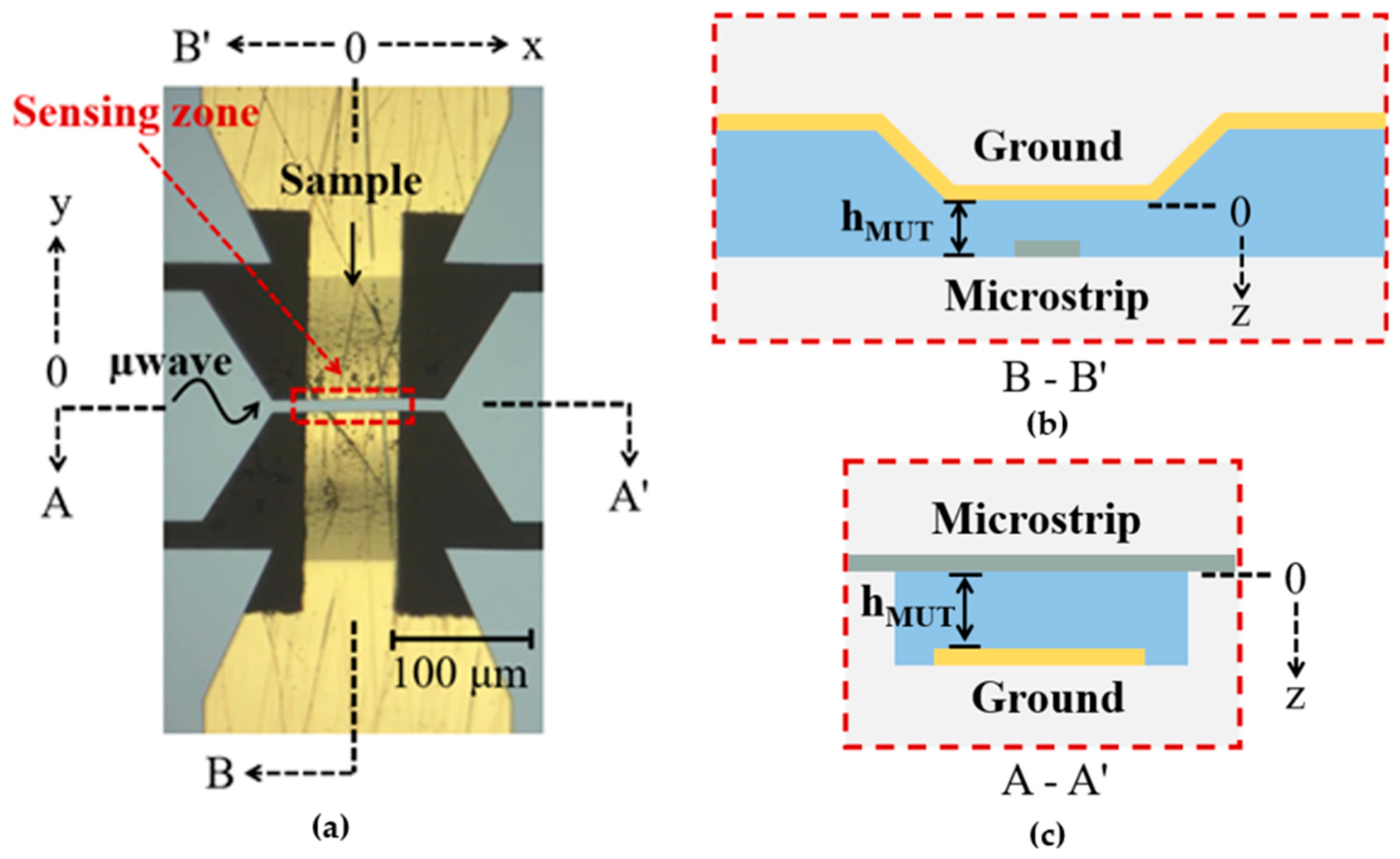 Sensors 24 02870 g003