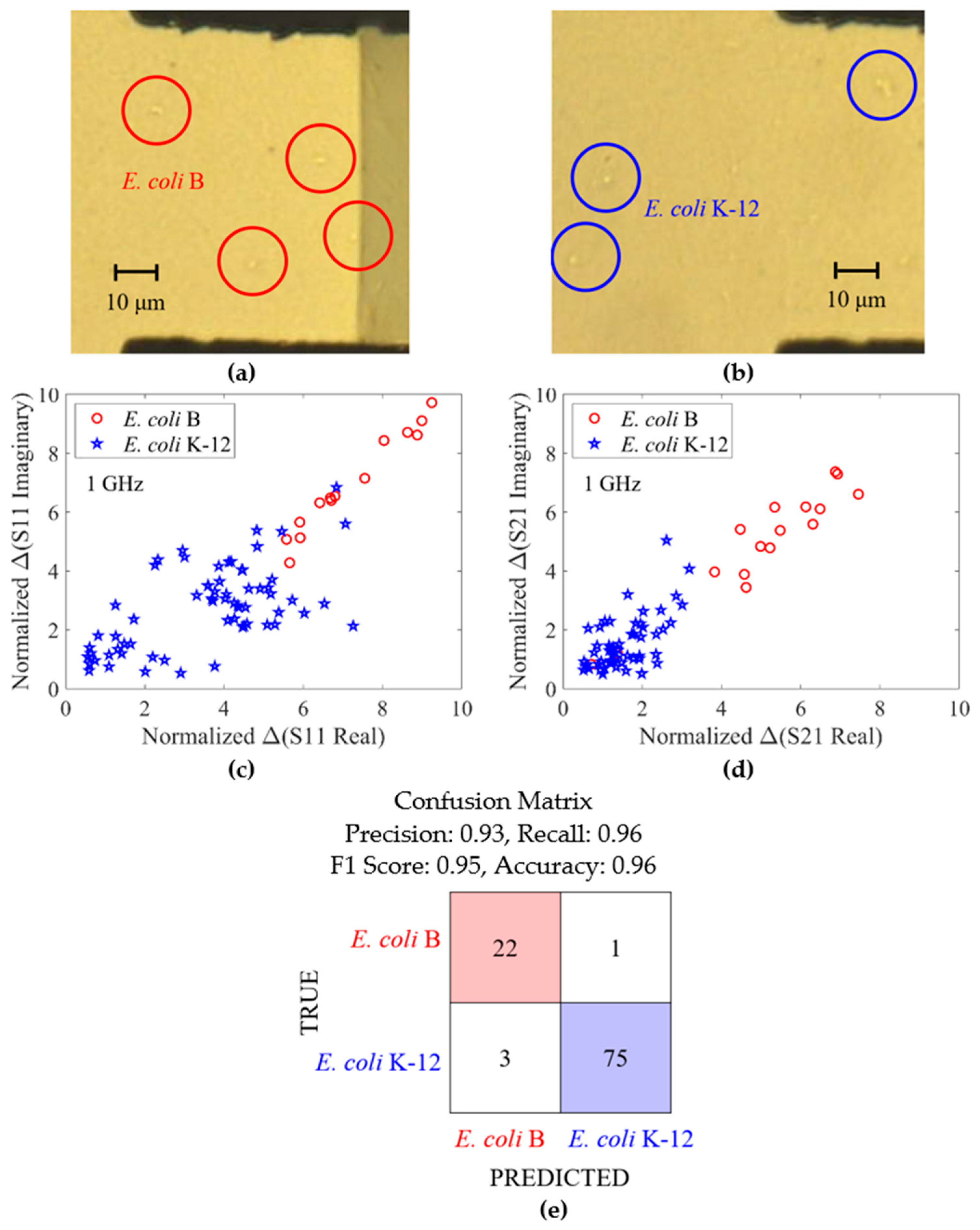 Sensors 24 02870 g007